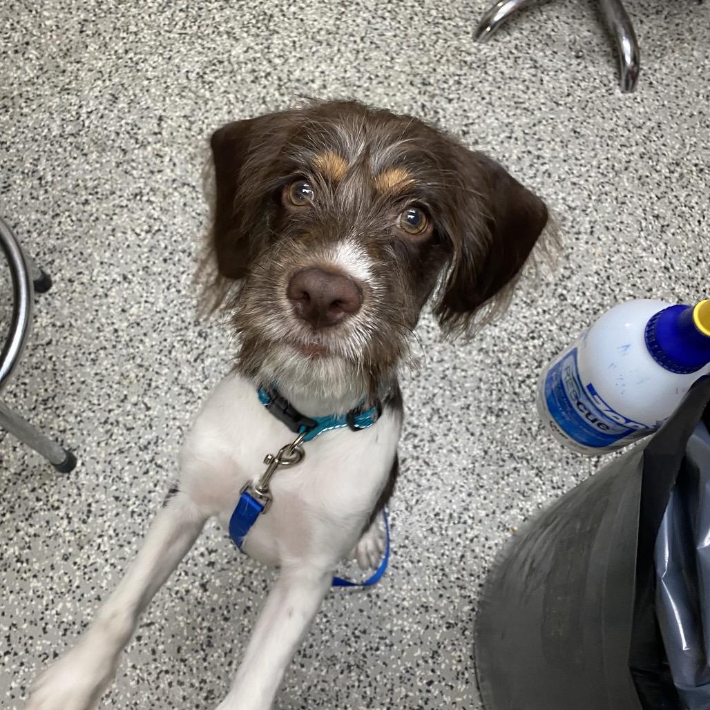 Mooka — thumbnail 3