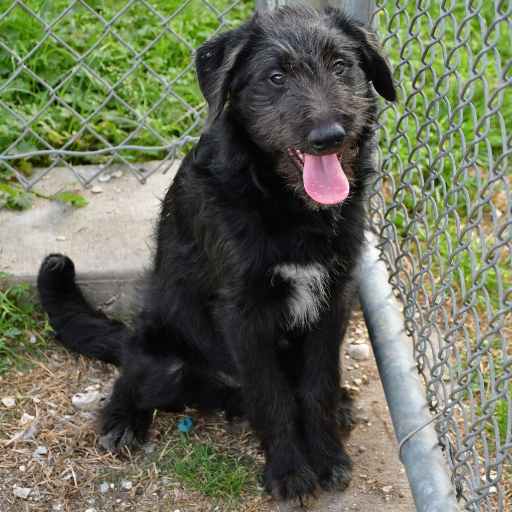 Patrick — thumbnail 2