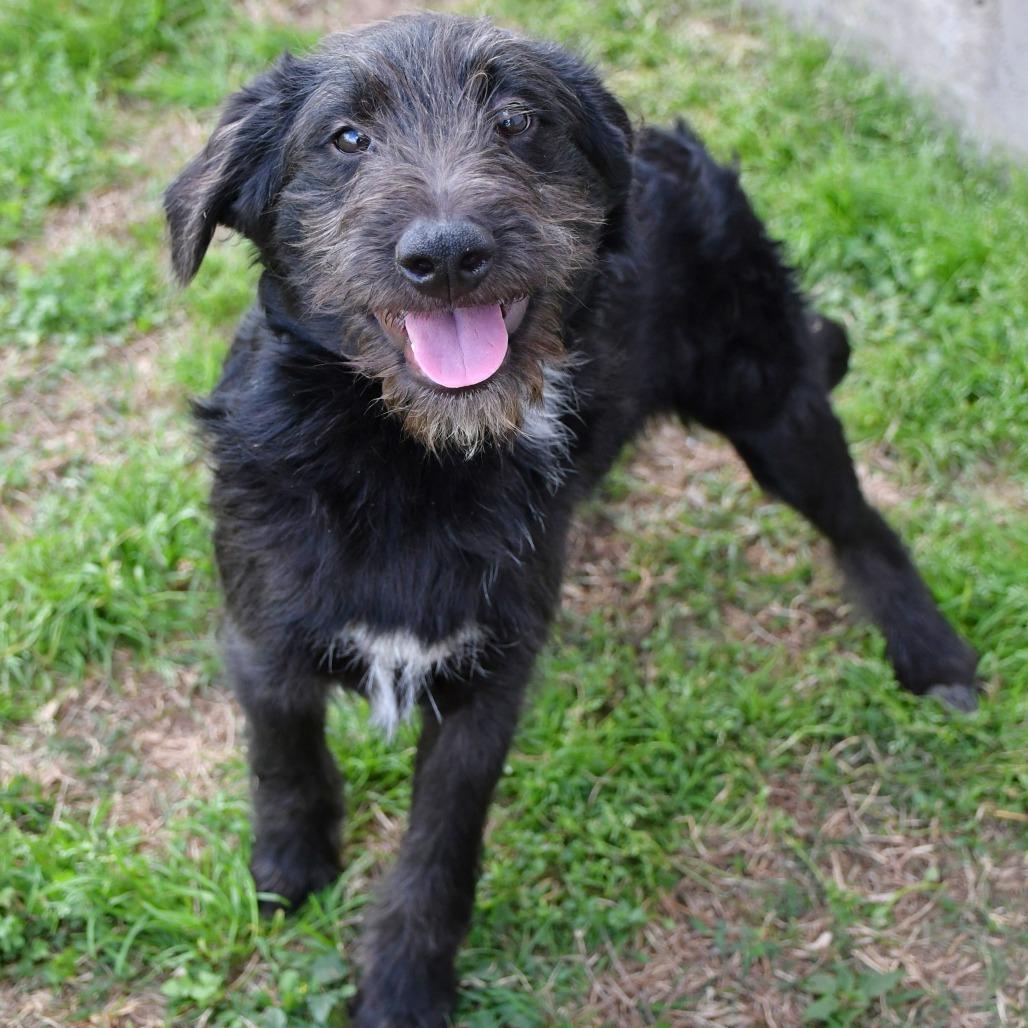 Patrick — thumbnail 5