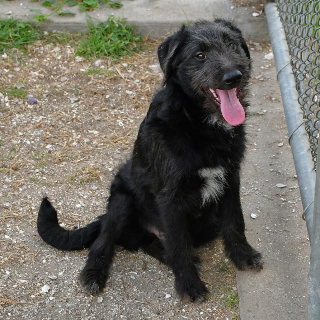 Patrick — thumbnail 6