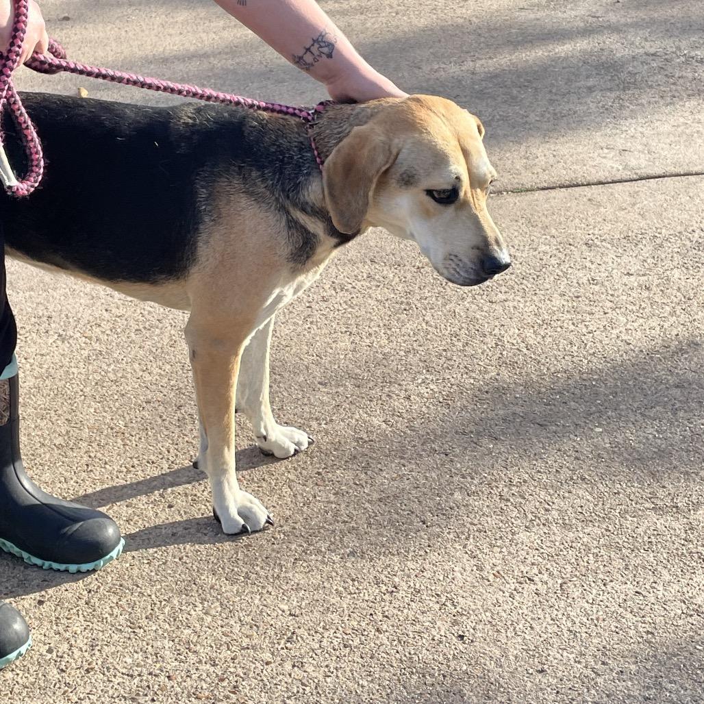 Finch — thumbnail 3