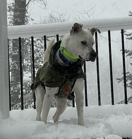 Banks — thumbnail 2