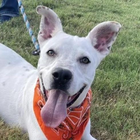 Banks — thumbnail 3