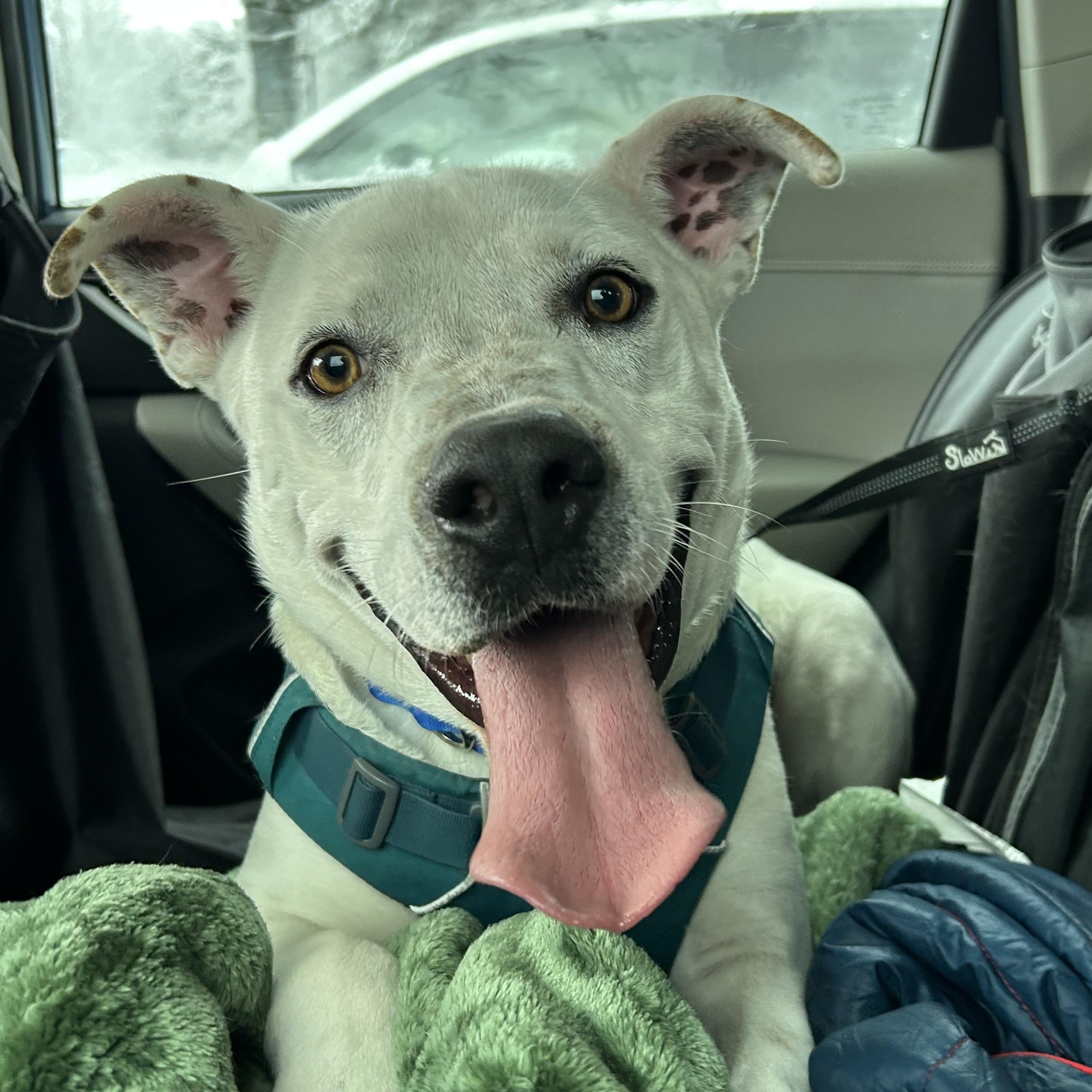 Banks — thumbnail 4