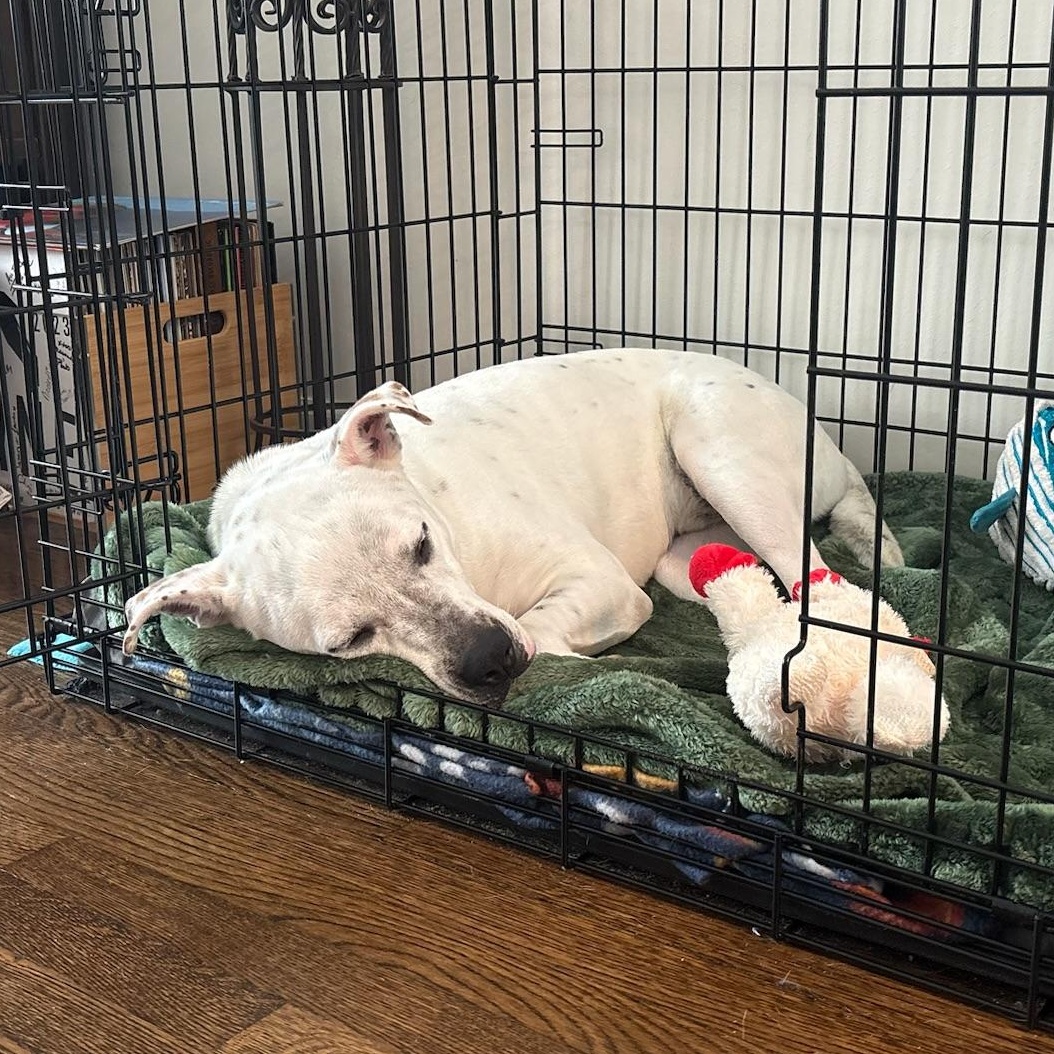 Banks — thumbnail 5