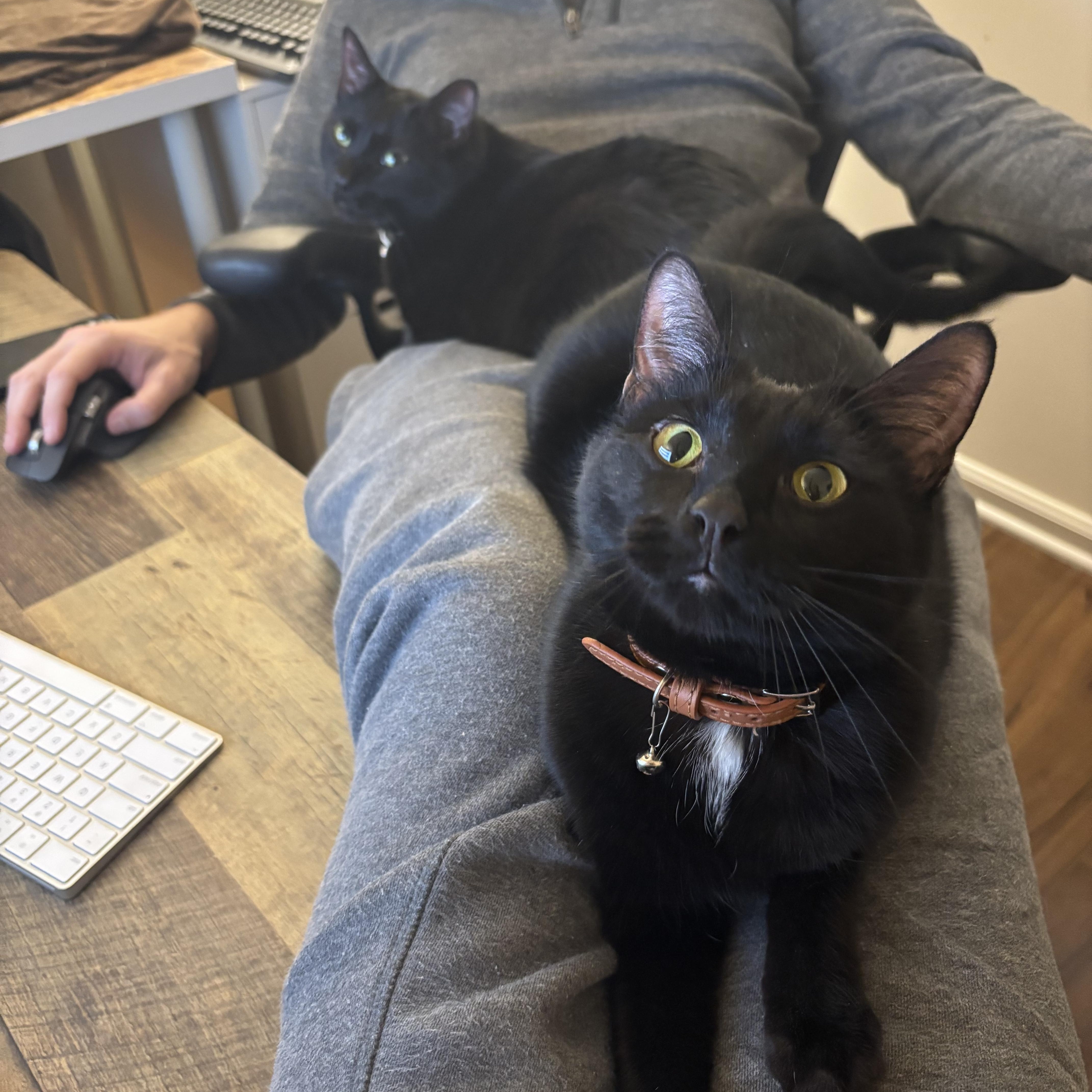 Oden & Owen (a/k/a PB & J) photo 5