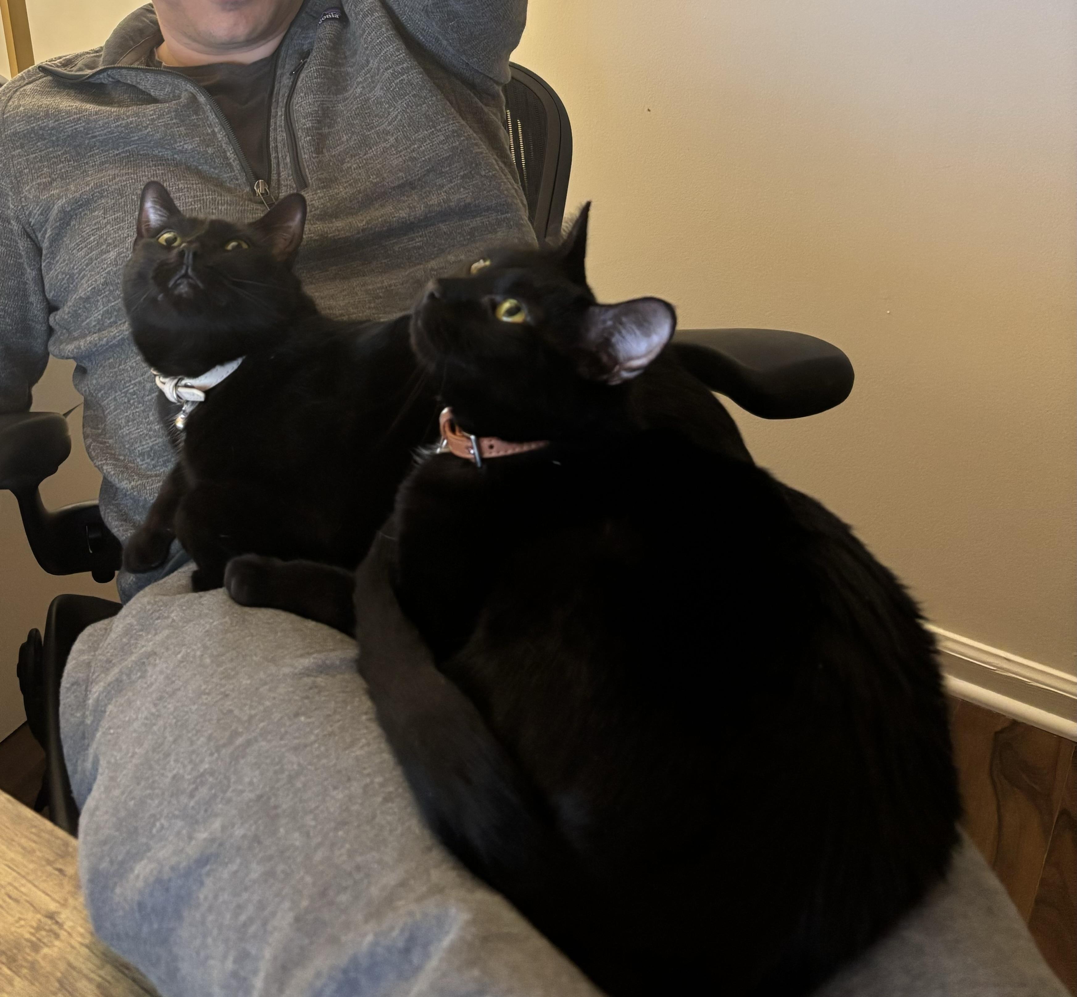 Oden & Owen (a/k/a PB & J) photo 4