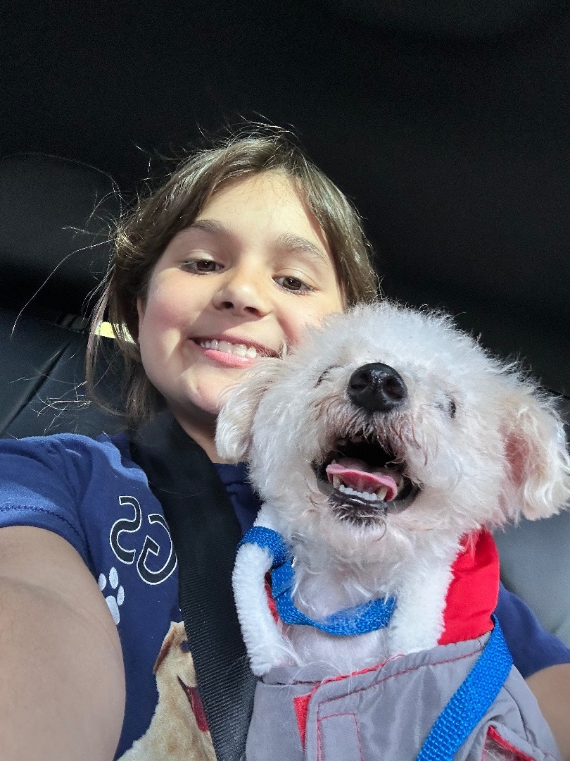 Buddy, a Adopted Maltipoo in Woodland Hills, CA image 4/6