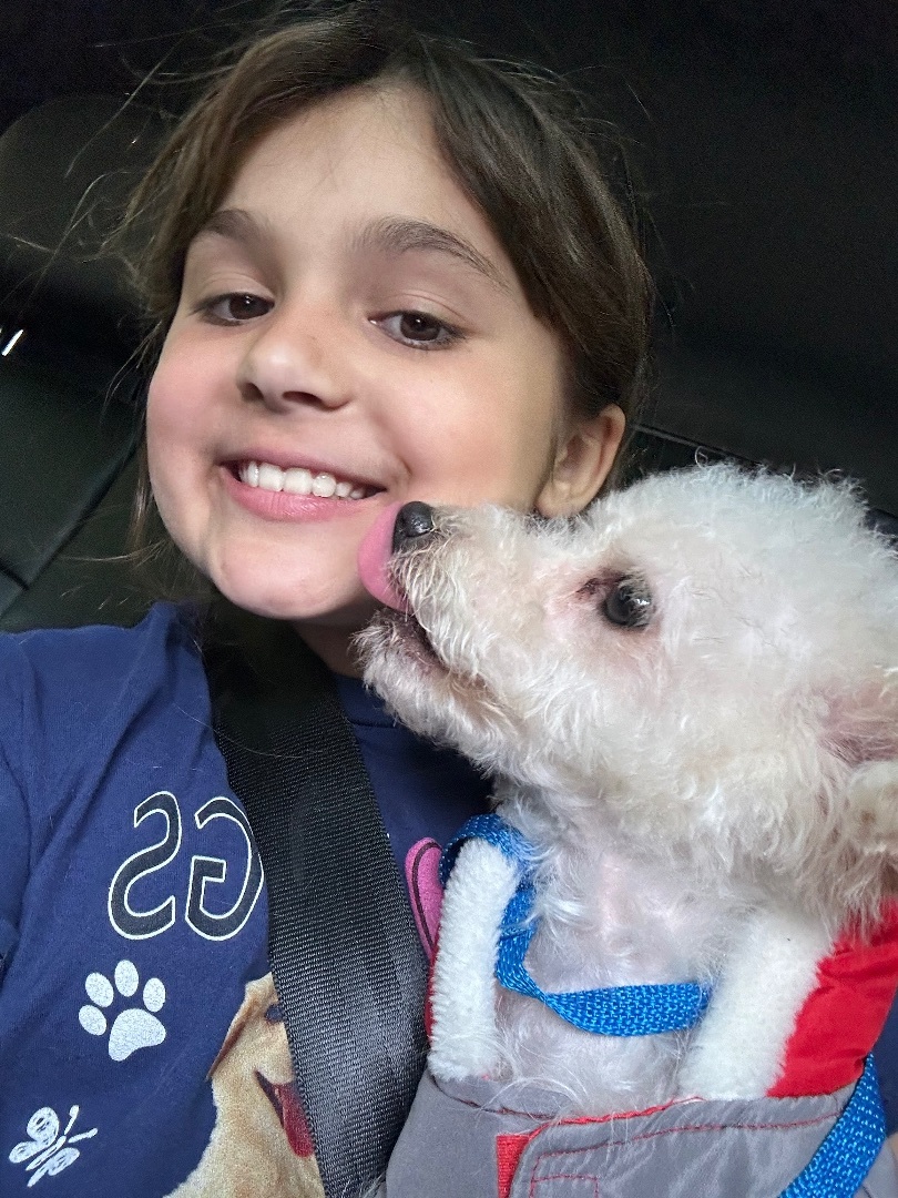 Buddy, a Adopted Maltipoo in Woodland Hills, CA image 6/6