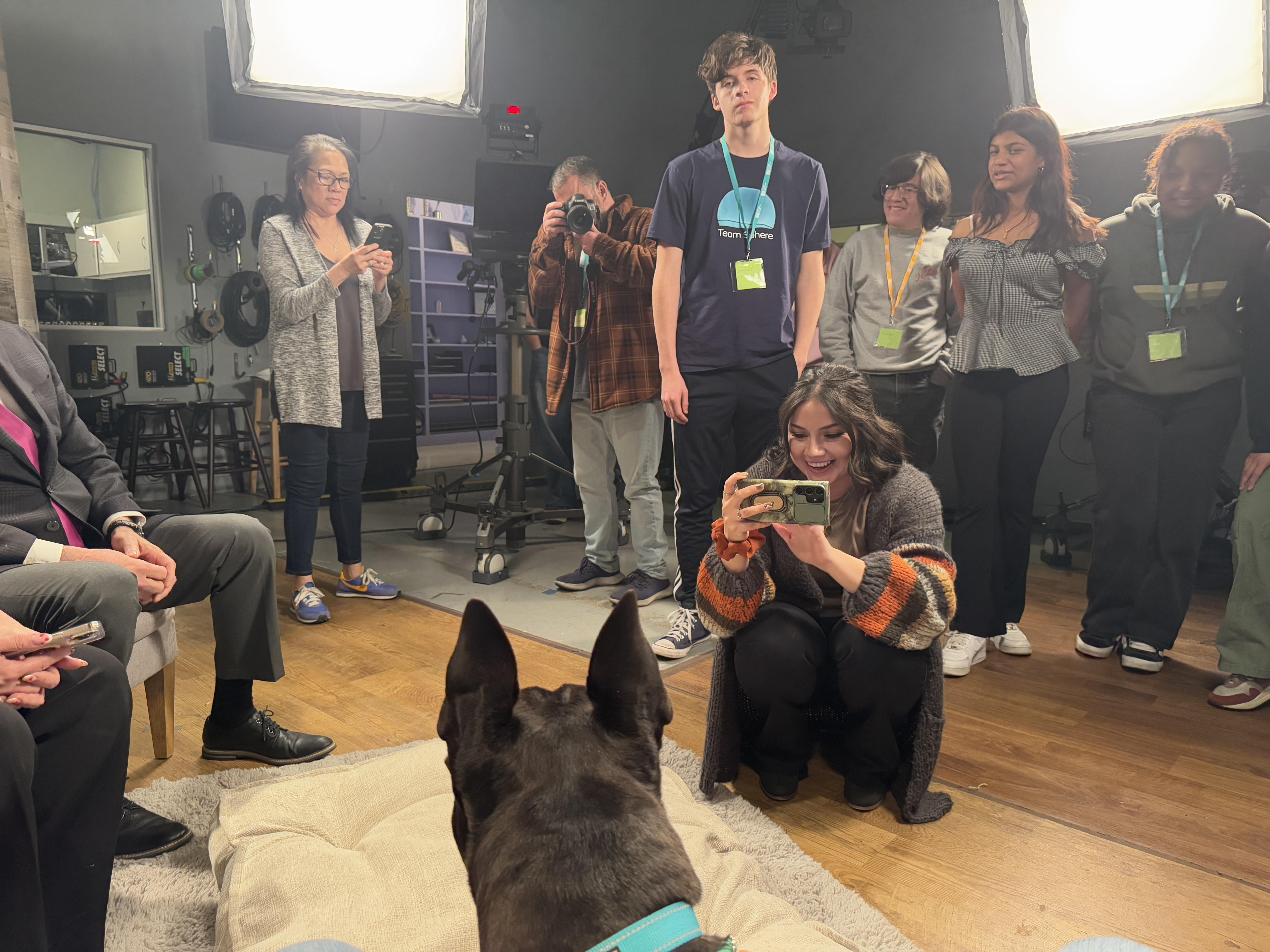 Enlarge Milo, a Adoptable mixed breed in Encino, CA image 5/6