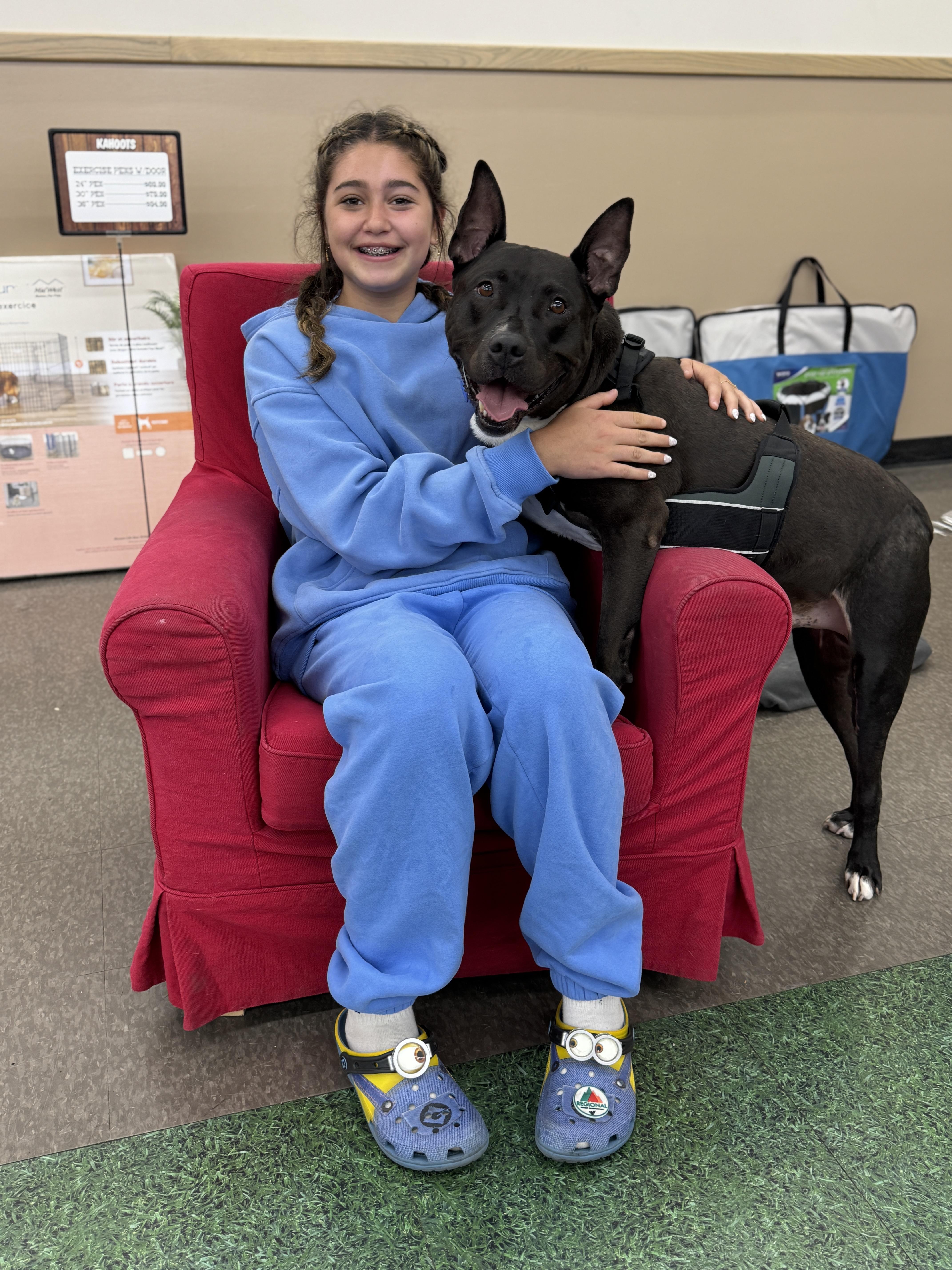 Enlarge Milo, a Adoptable mixed breed in Encino, CA image 4/6