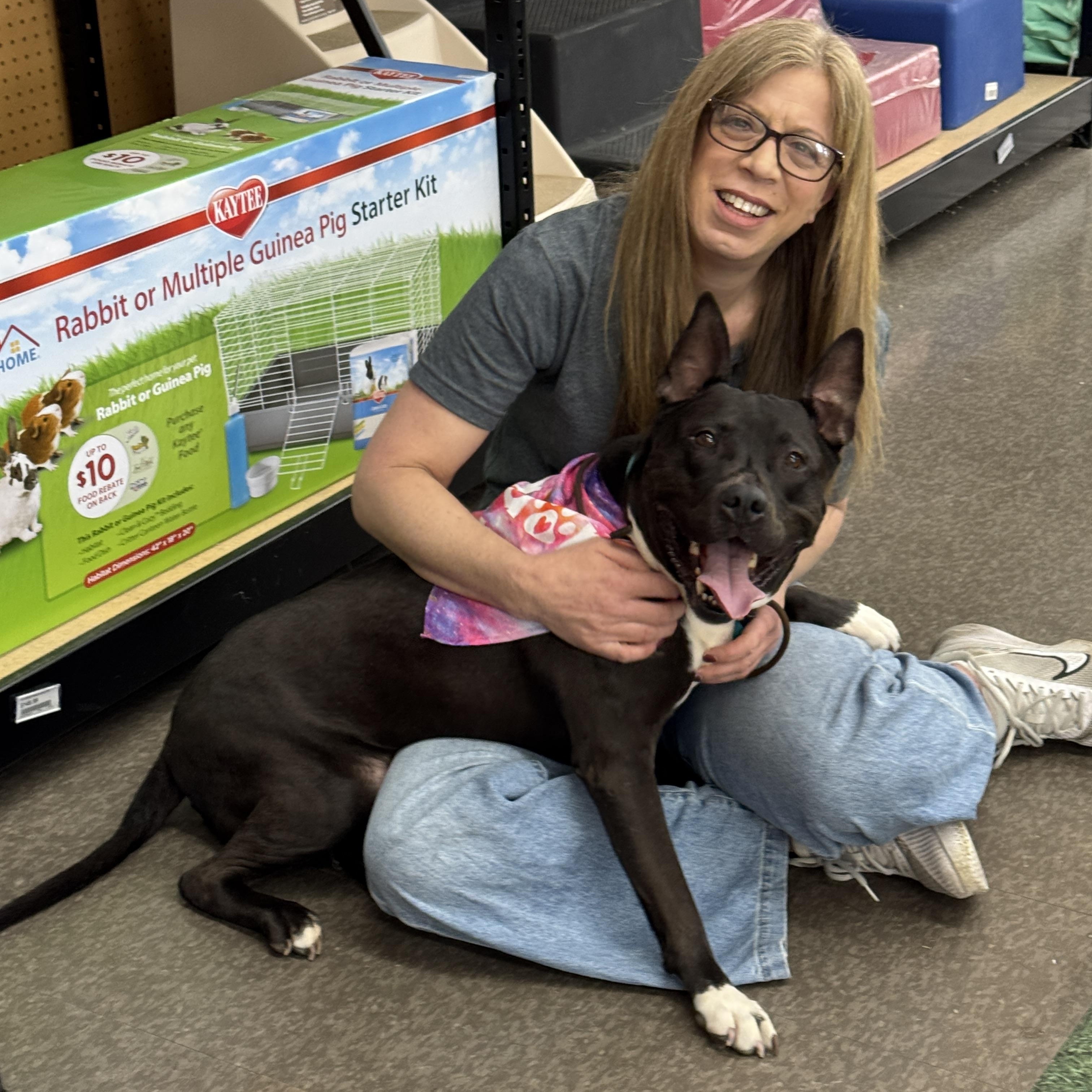 Enlarge Milo, a Adoptable mixed breed in Encino, CA image 3/6