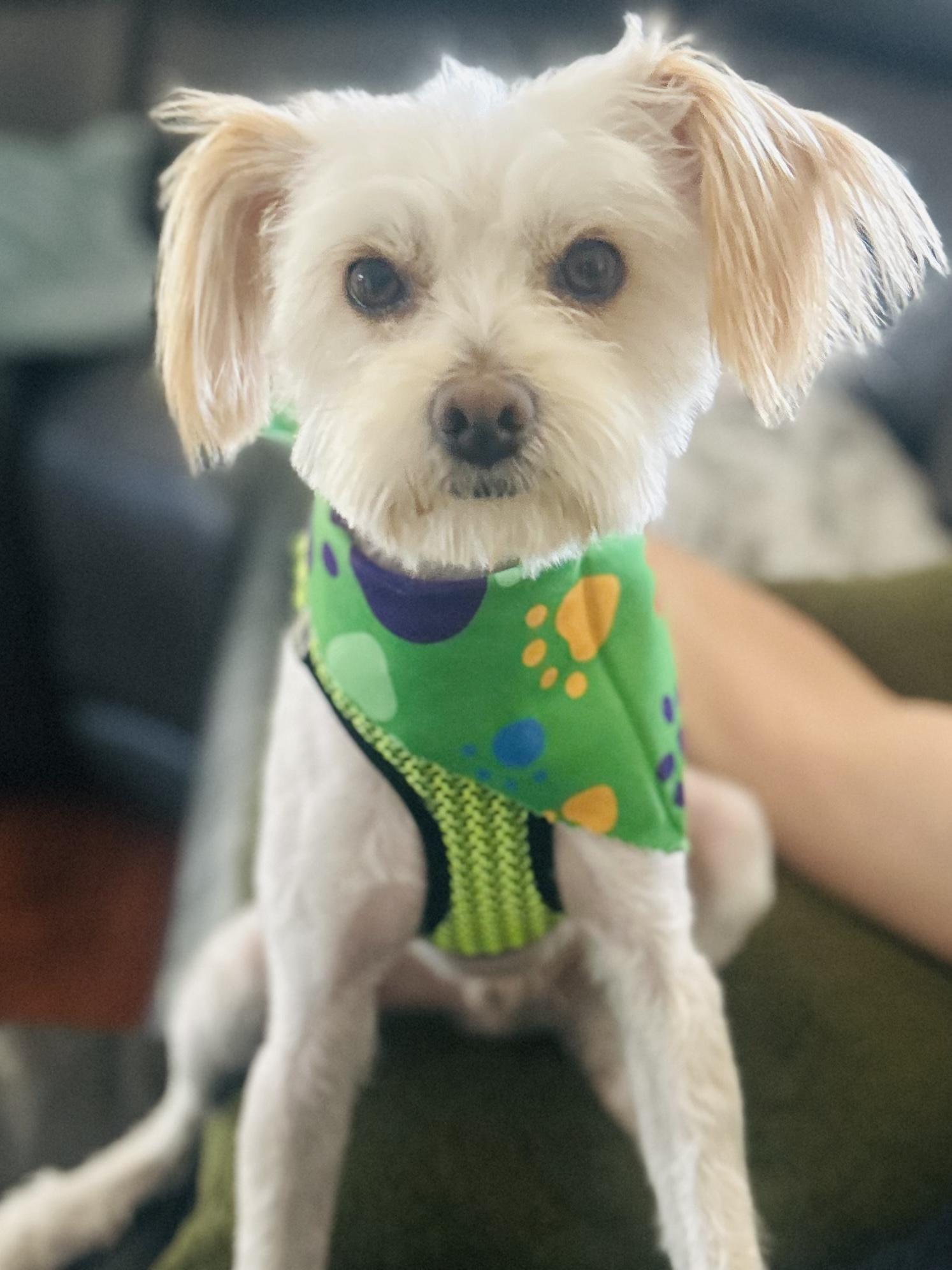Sammy photo 3