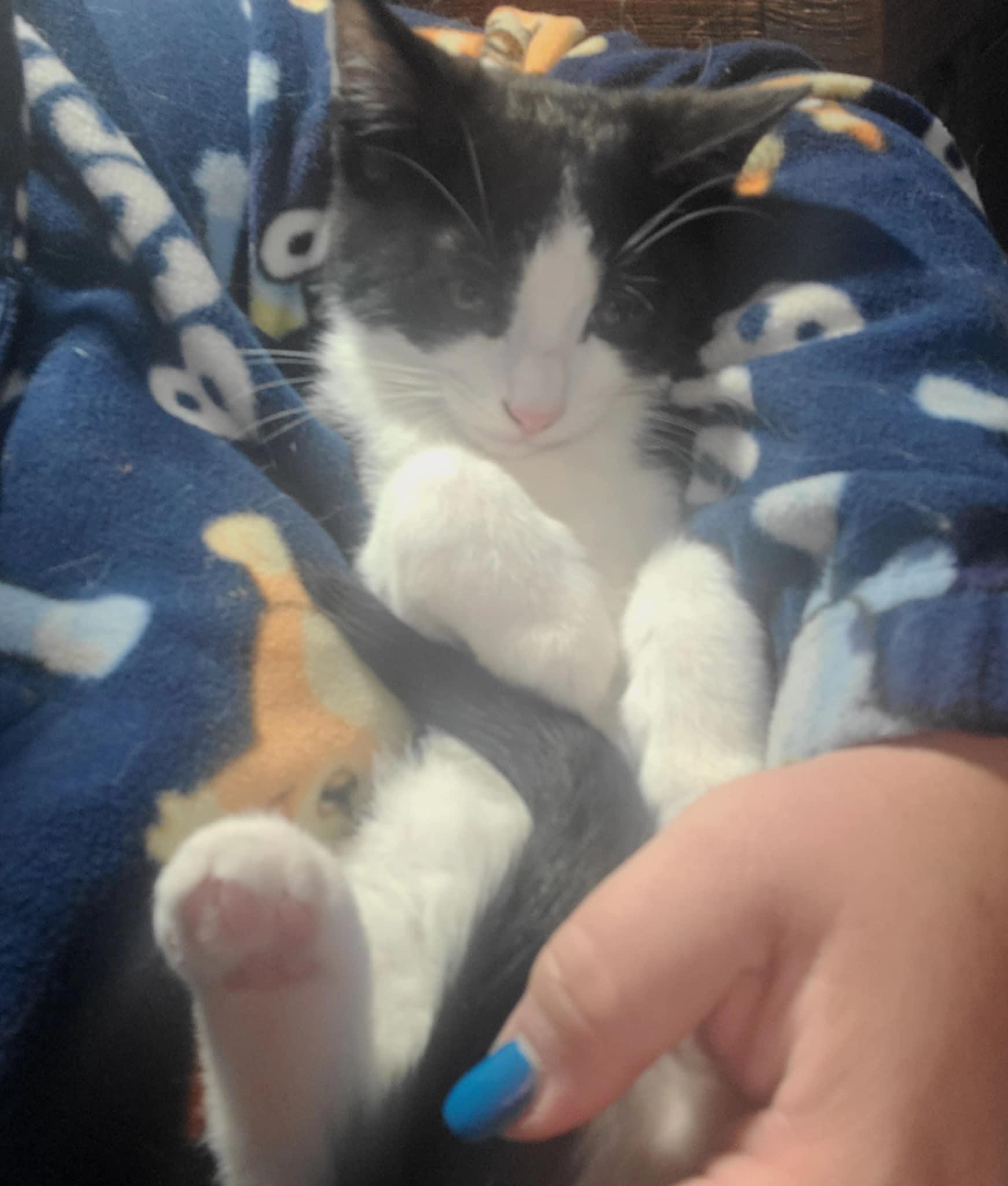 Felix