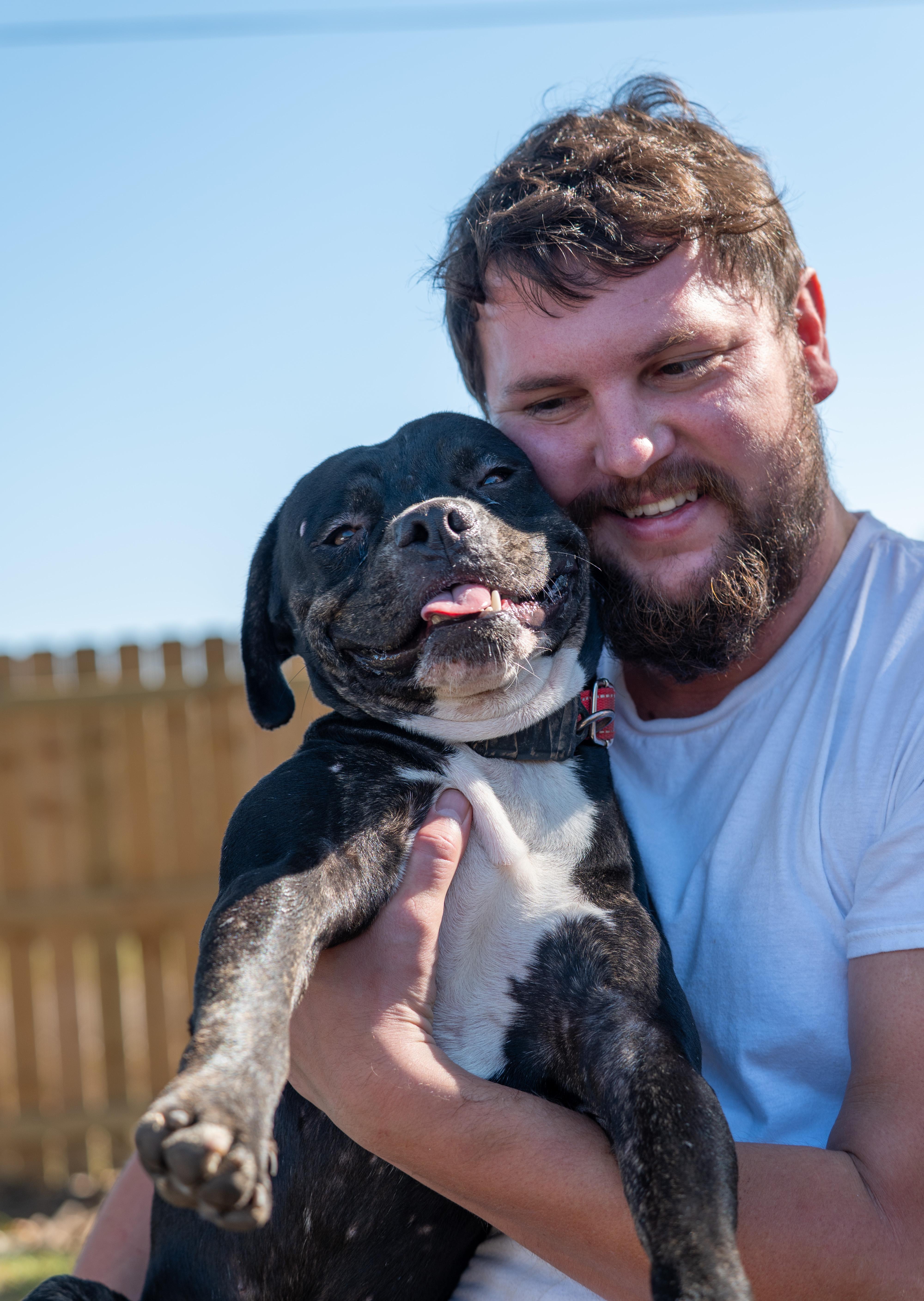 Chance, an adopted mixed breed in Tyler, TX image 2/6