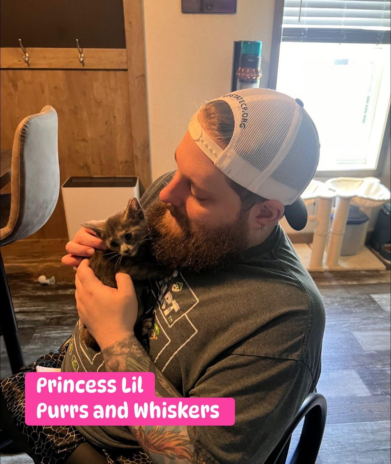 Princess Lil, adopted, Kitten Female Domestic Short Hair.