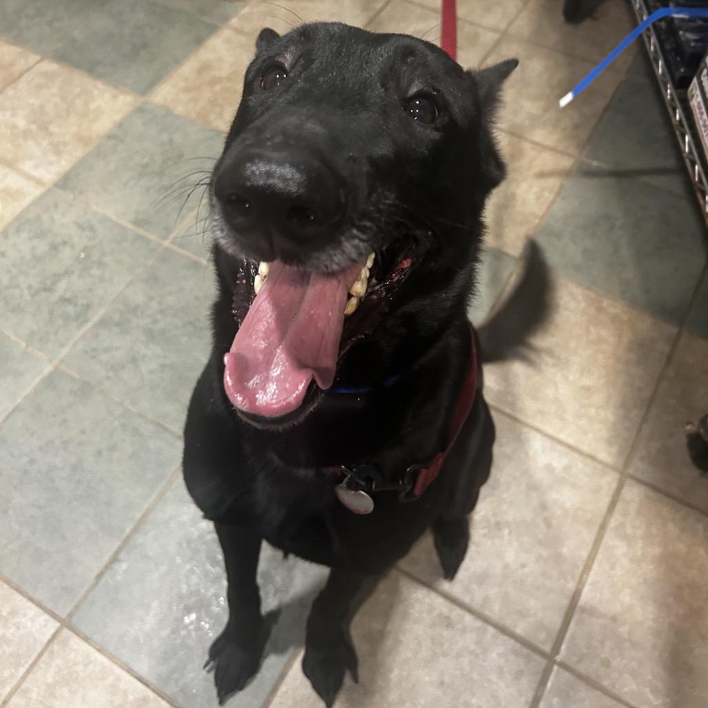 Klaus — thumbnail 2