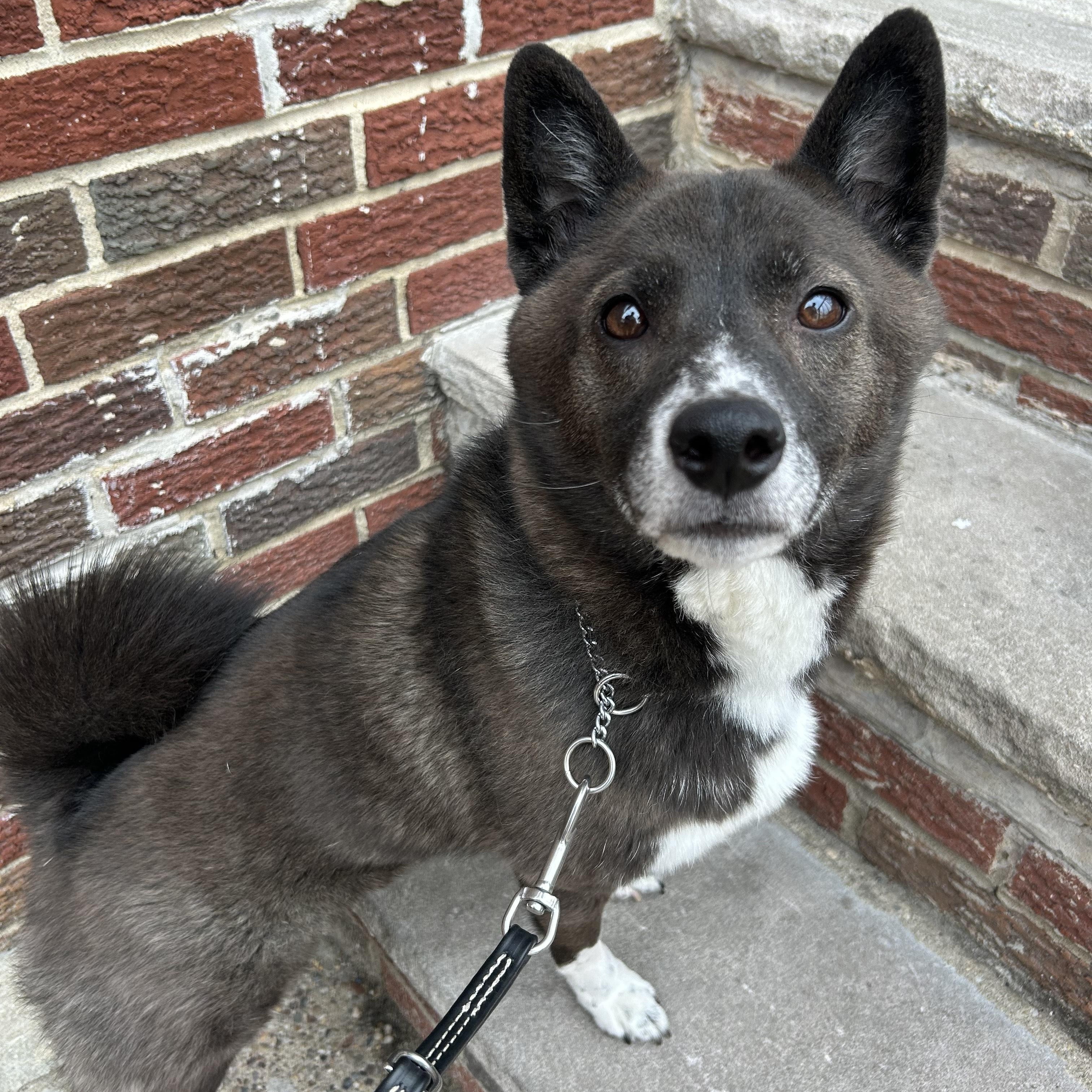 Charlie photo 1