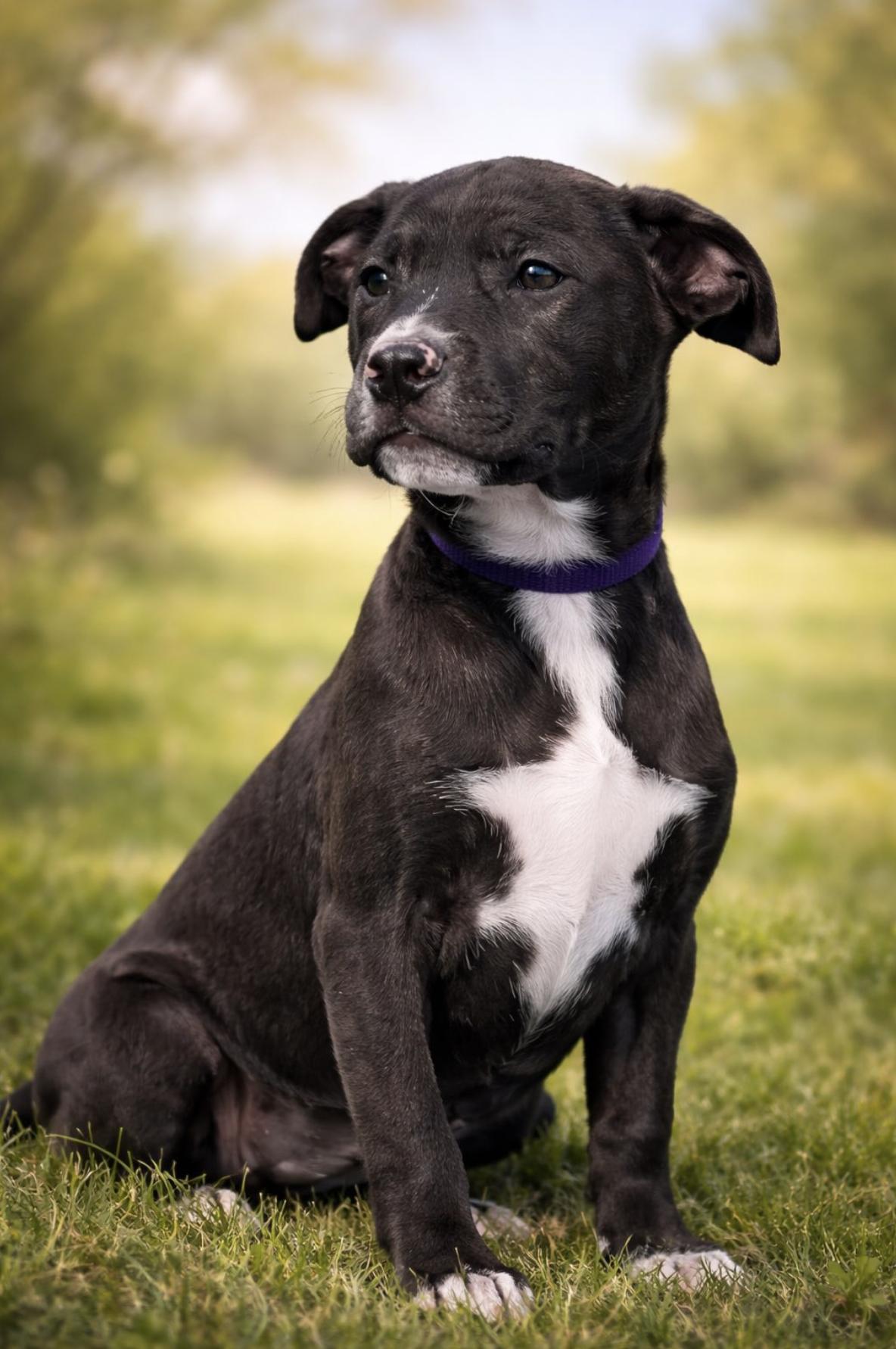 Brenda — thumbnail 2