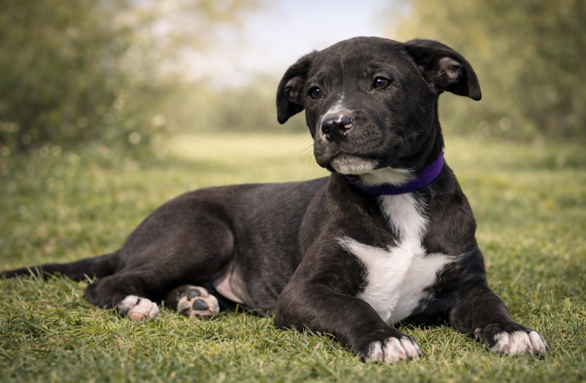 Brenda — thumbnail 4