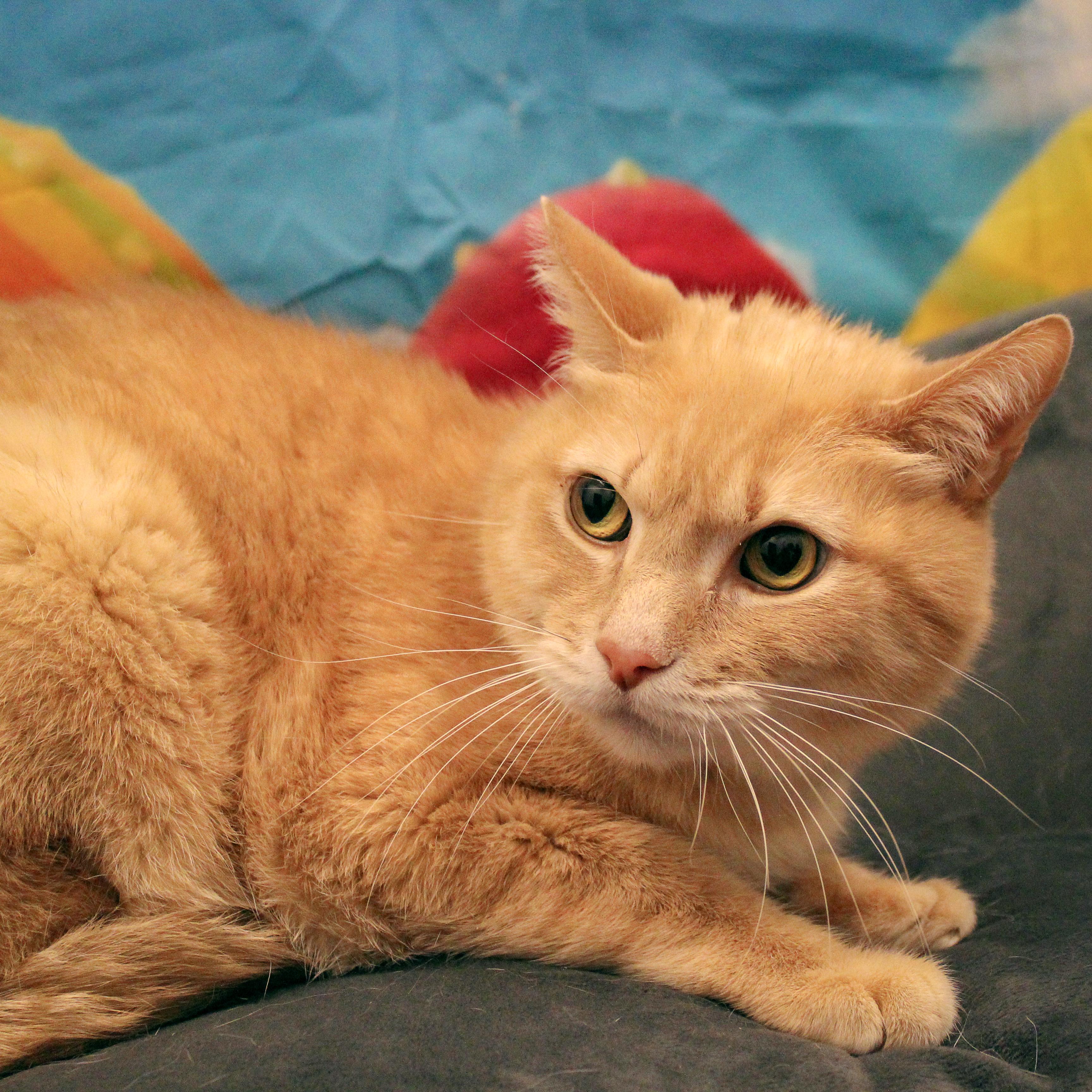 Huey photo 3