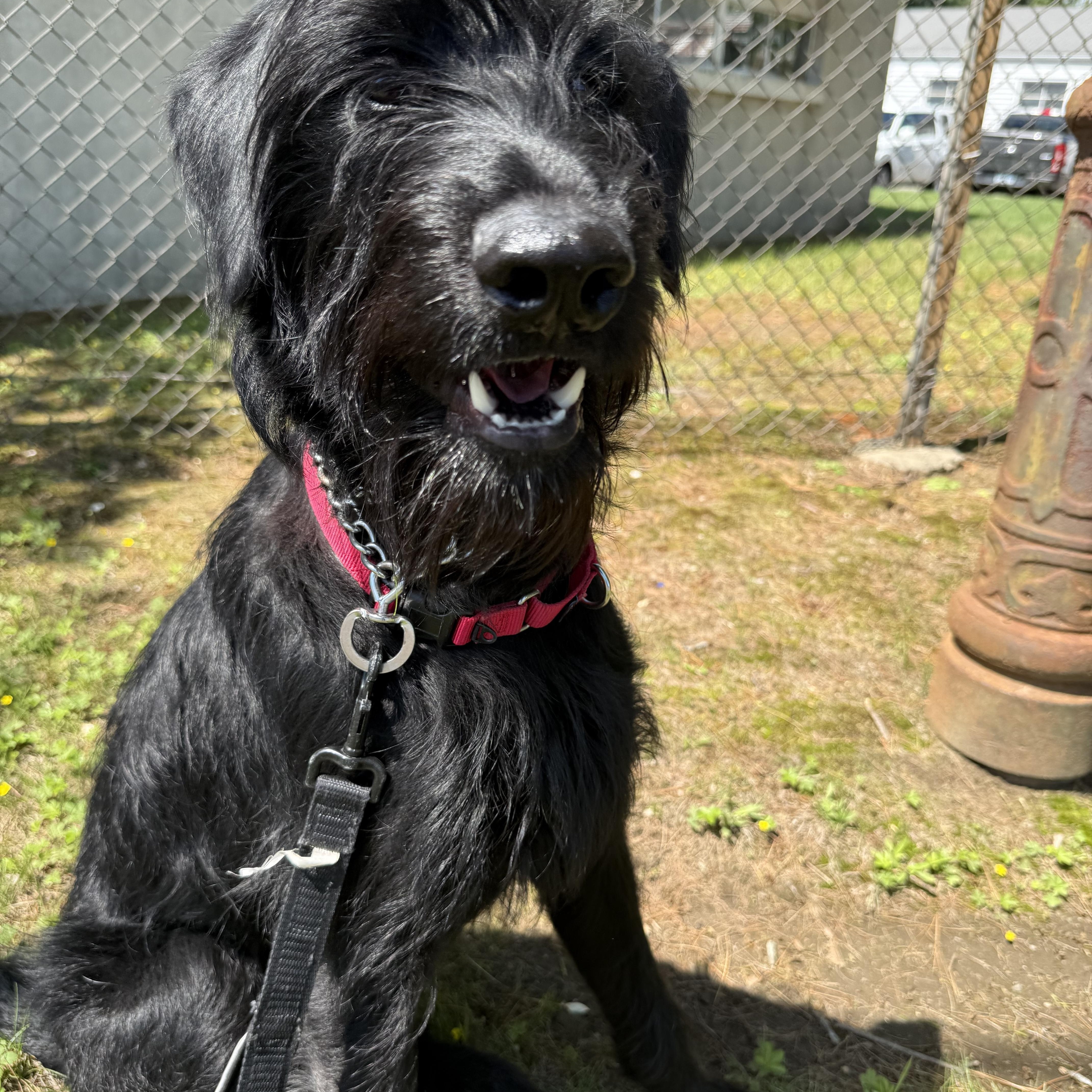 Tug photo 1