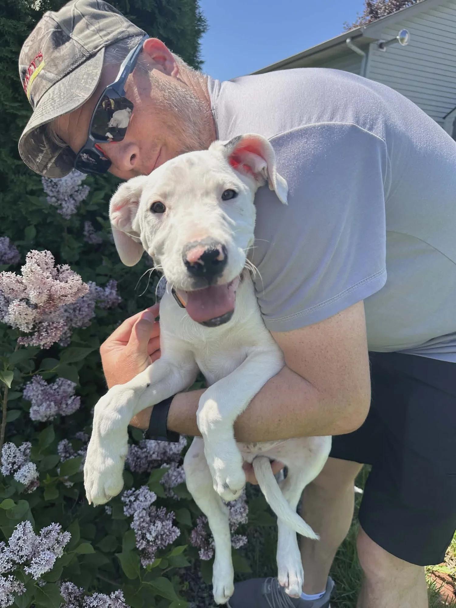 Kyle, an adopted mixed breed in Minneapolis, MN image 3/6