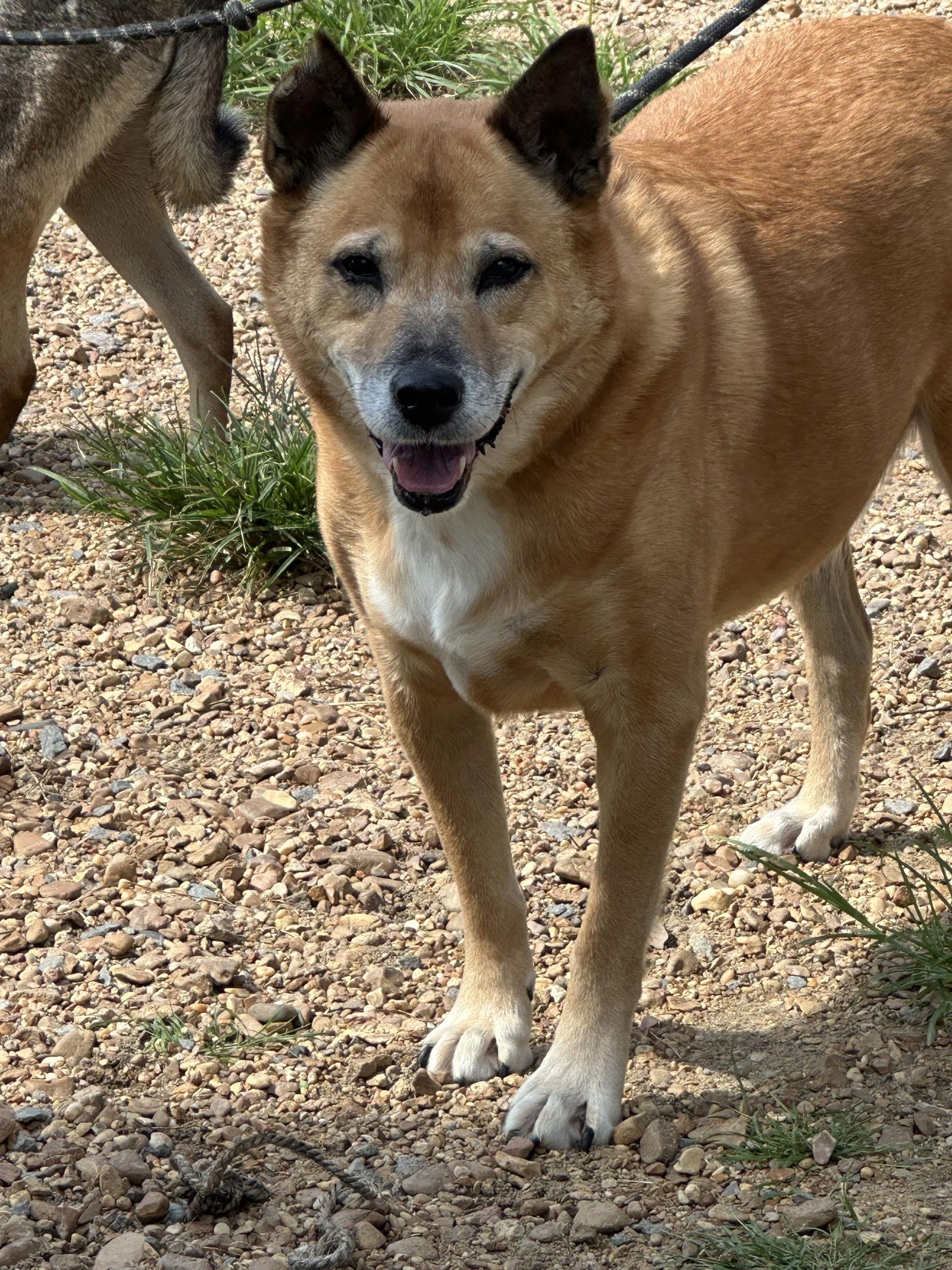 Glen Frye — thumbnail 3