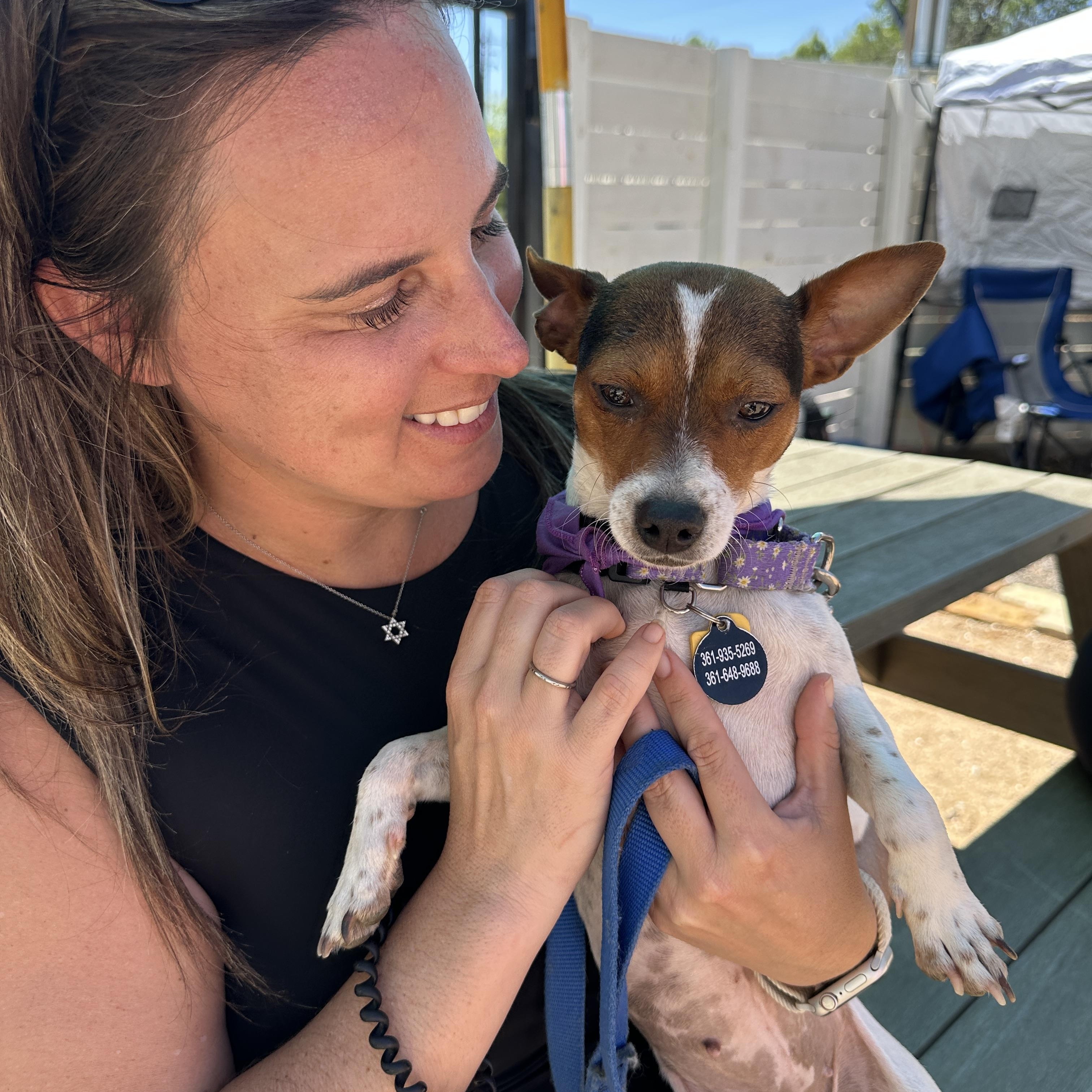 Enlarge Penny Lane, a Adoptable mixed breed in Austin, TX image 4/6