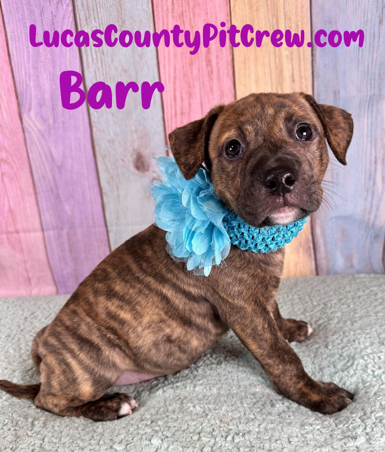 Barr