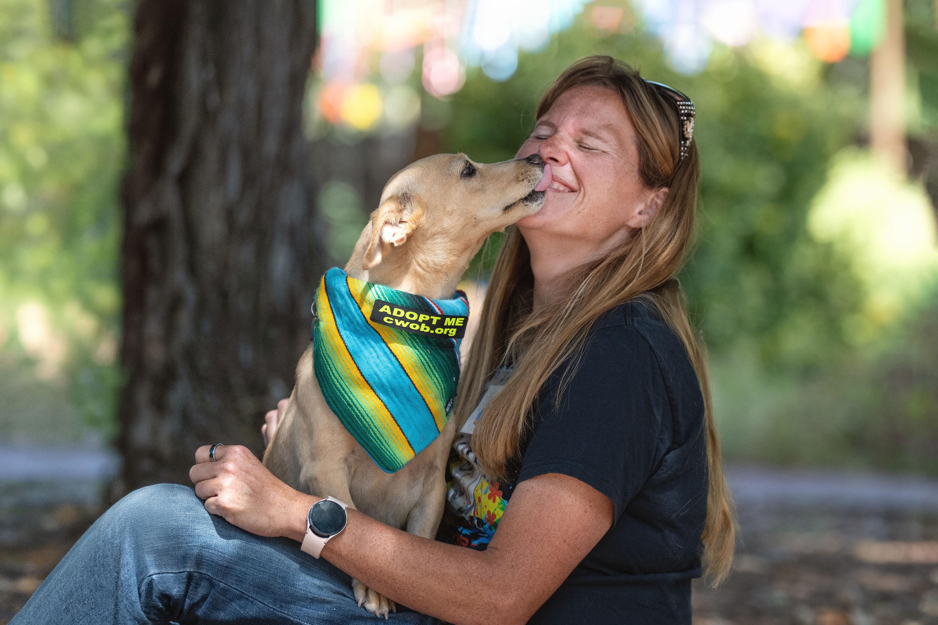 Rae, an adopted mixed breed in Santa Rosa, CA image 3/4