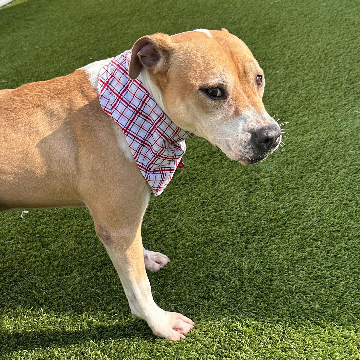 Jewels — thumbnail 2