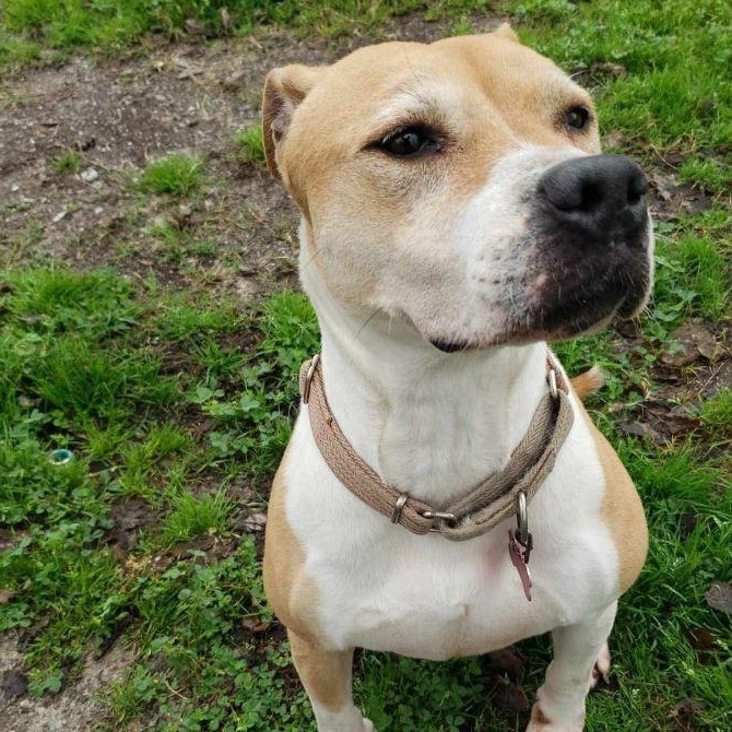 Jewels — thumbnail 3