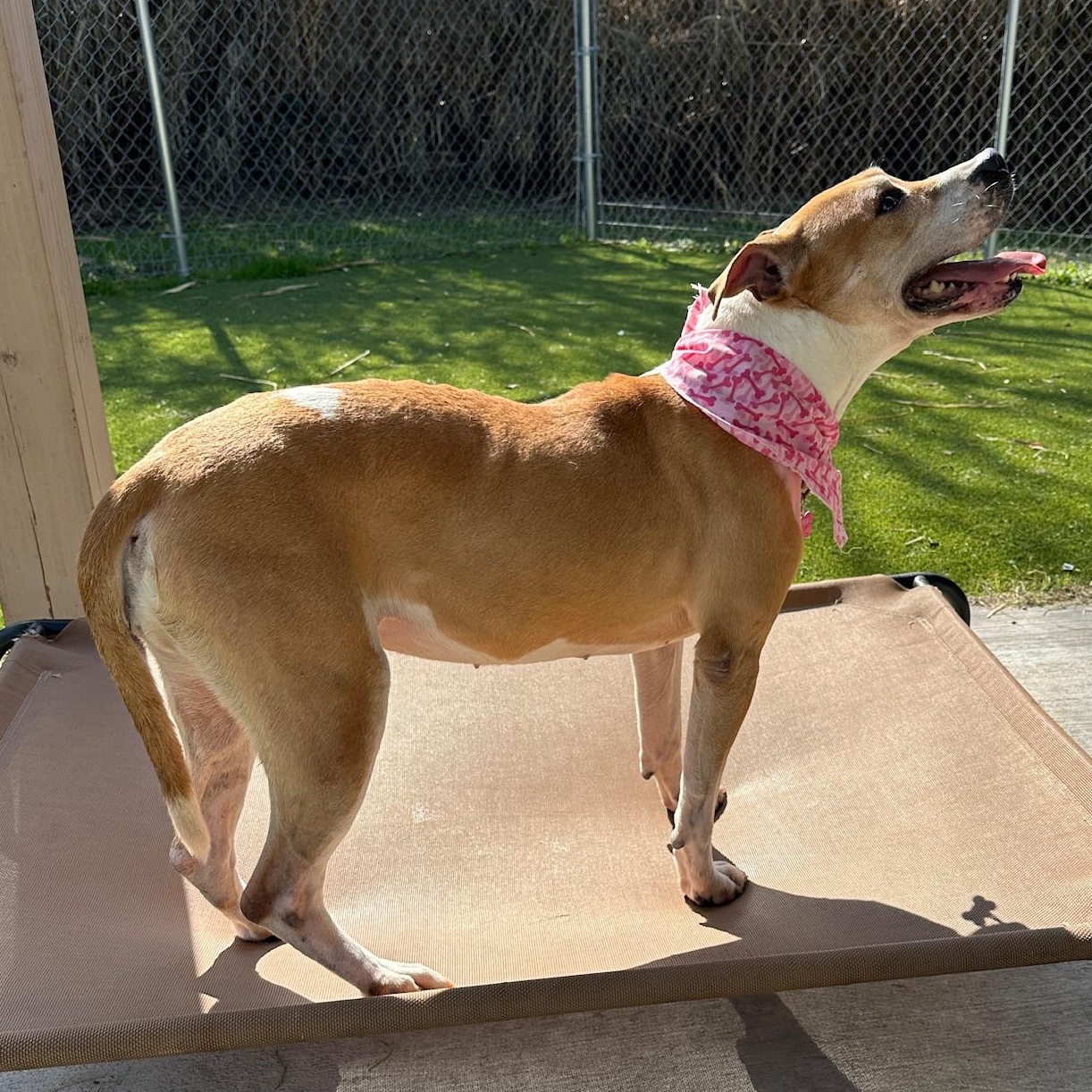 Jewels — thumbnail 6