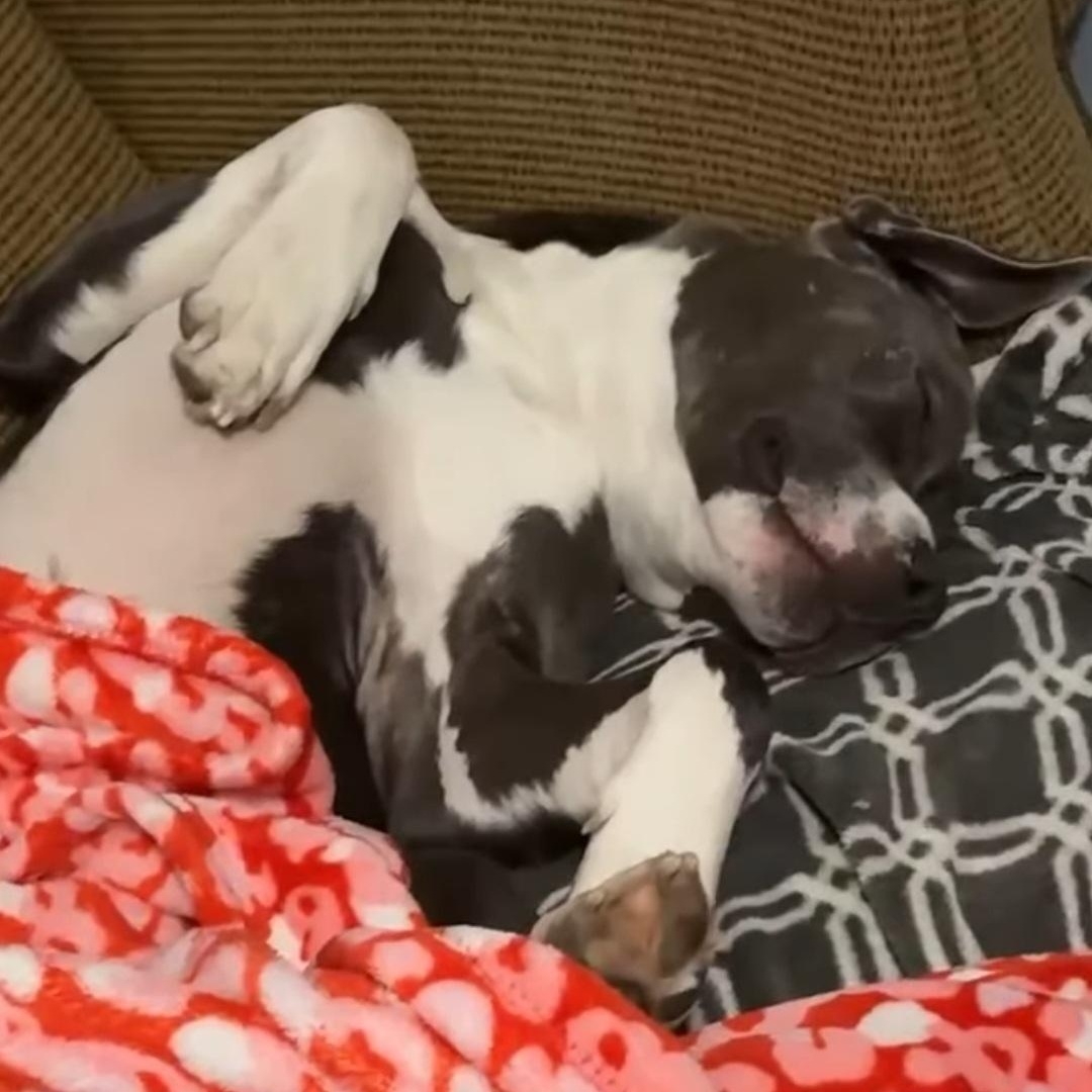 Mason