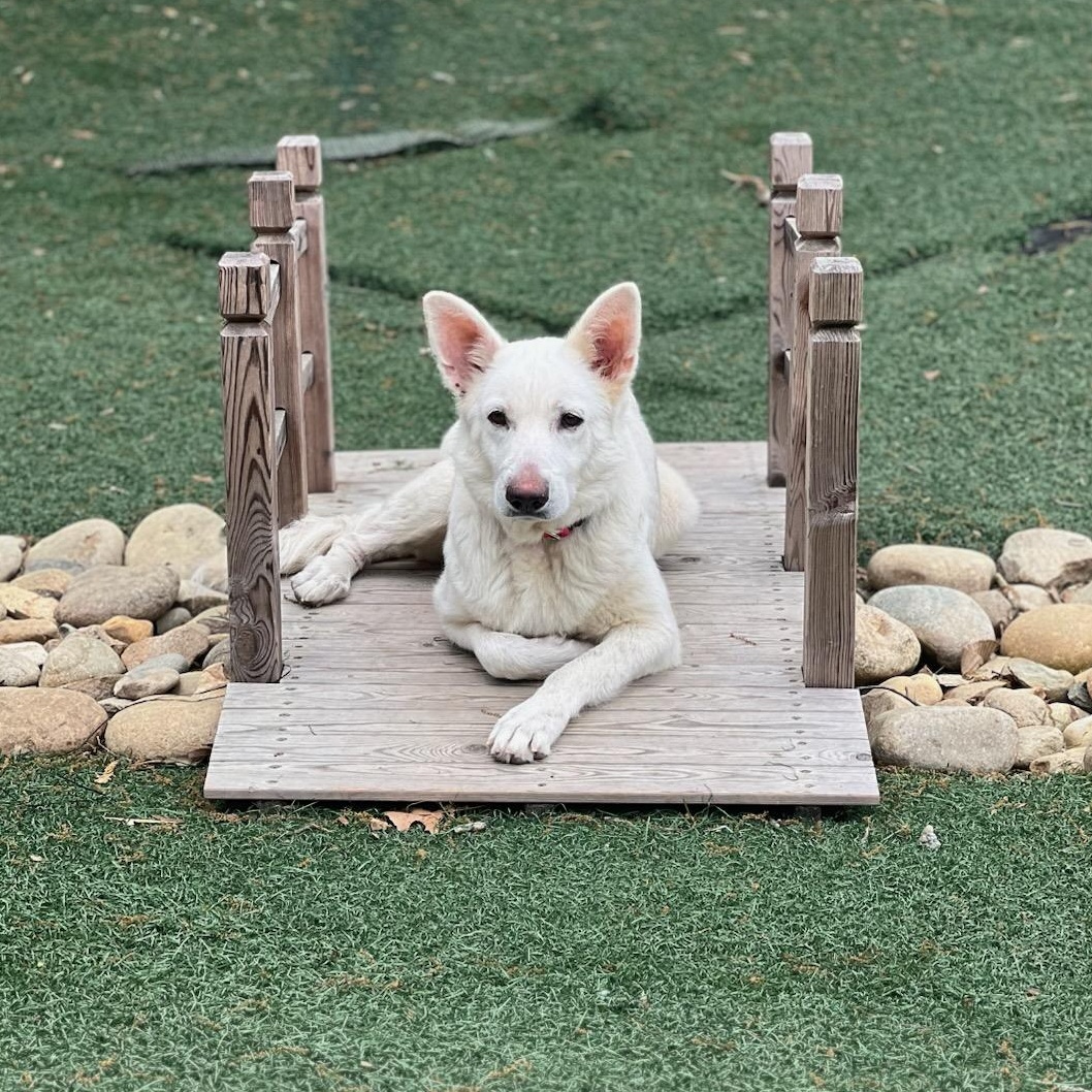 Betty White - the most gentle soul!