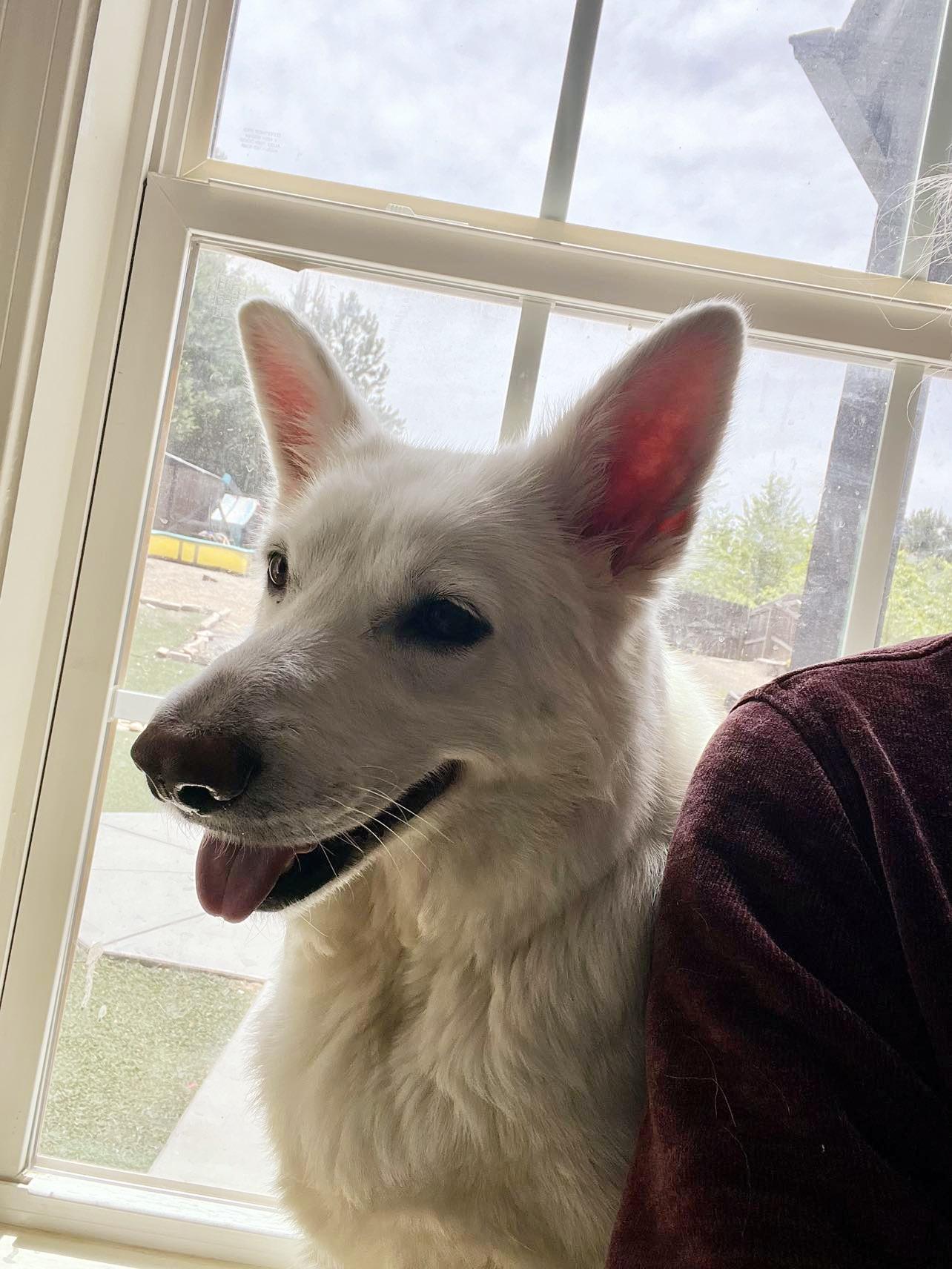 Betty White - the most gentle soul!