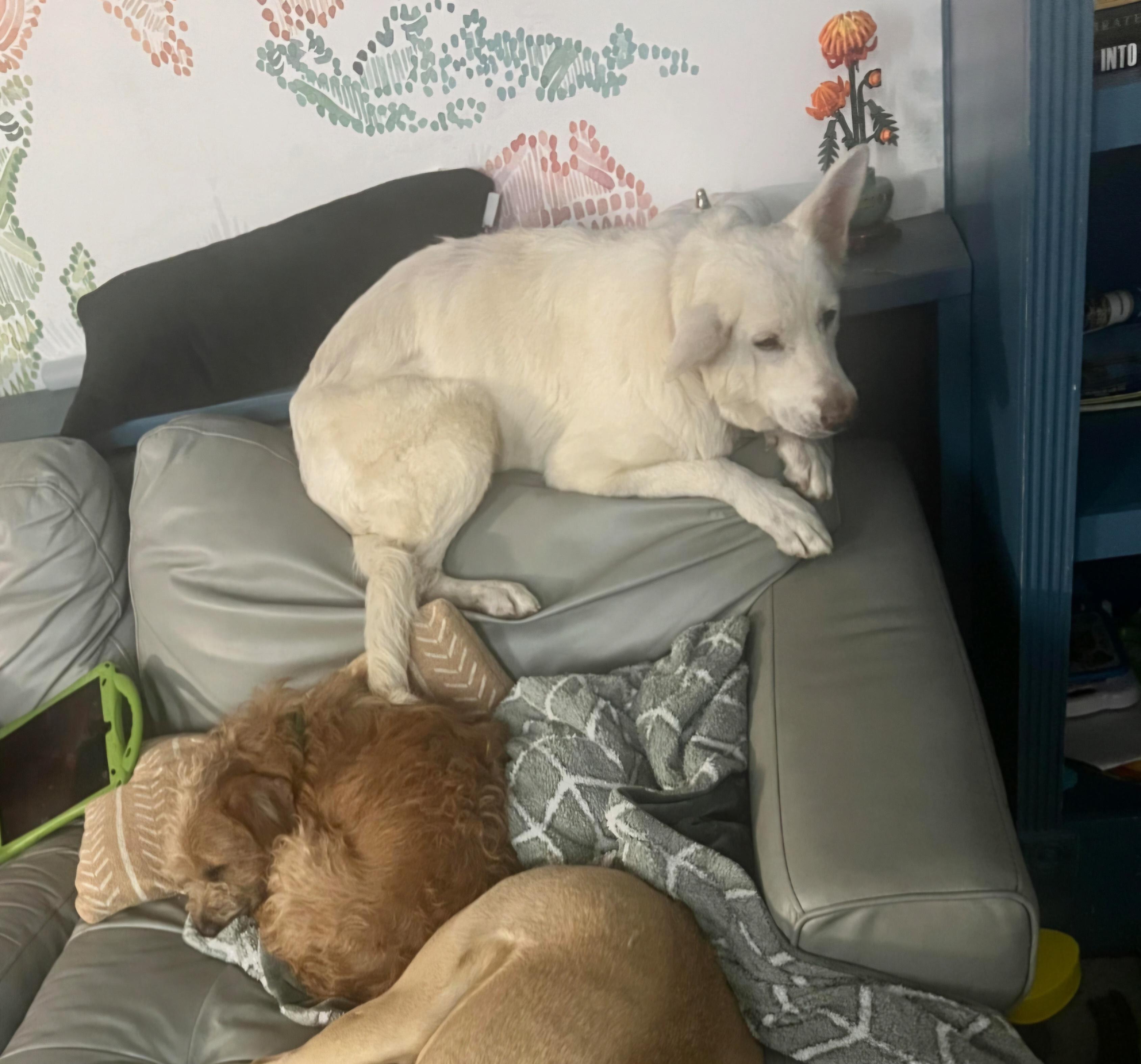 Betty White - the most gentle soul!