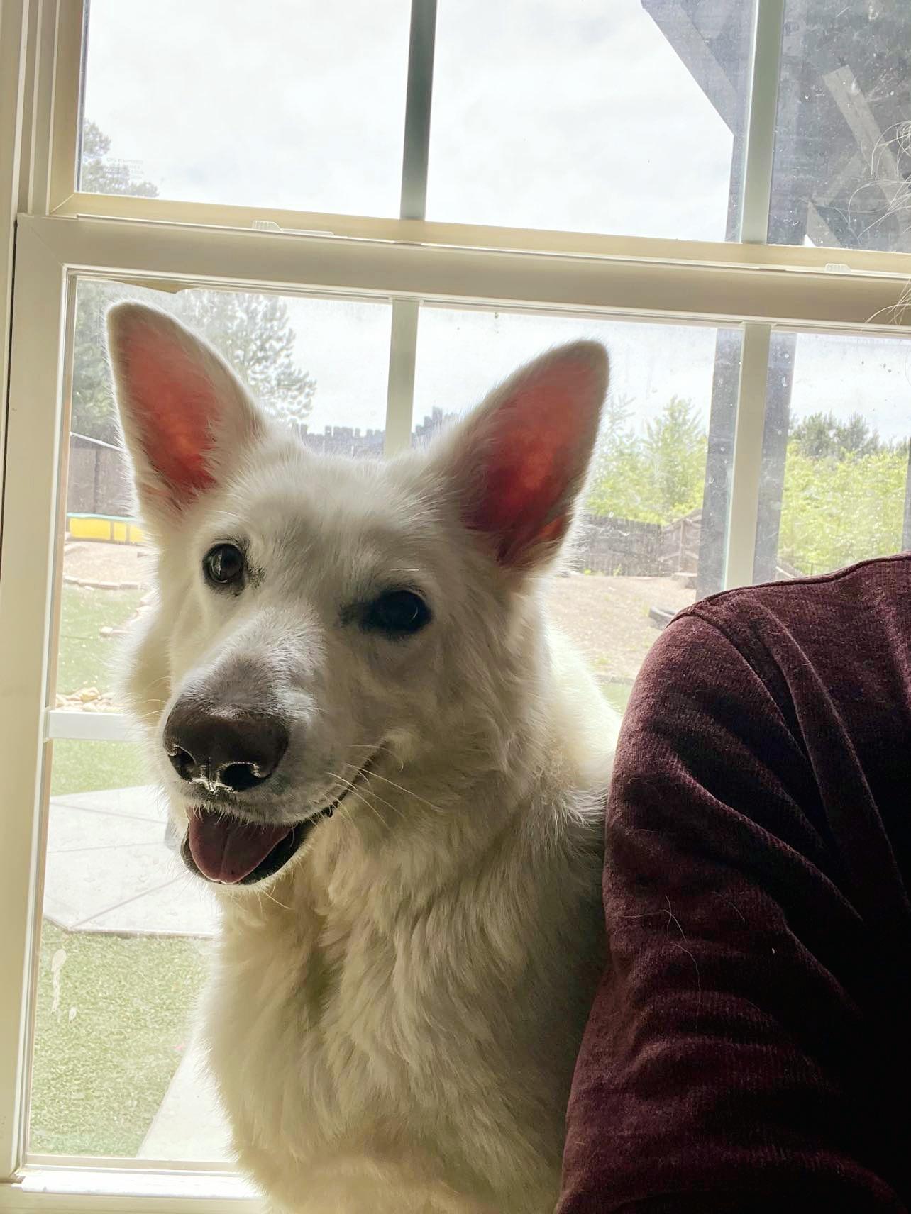 Betty White - the most gentle soul!