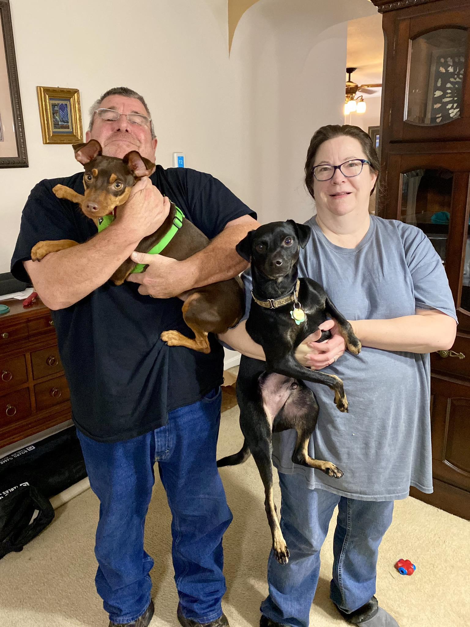 Enlarge Solo - ADOPTED!, a Adopted Miniature Pinscher in Houston, TX image 2/6