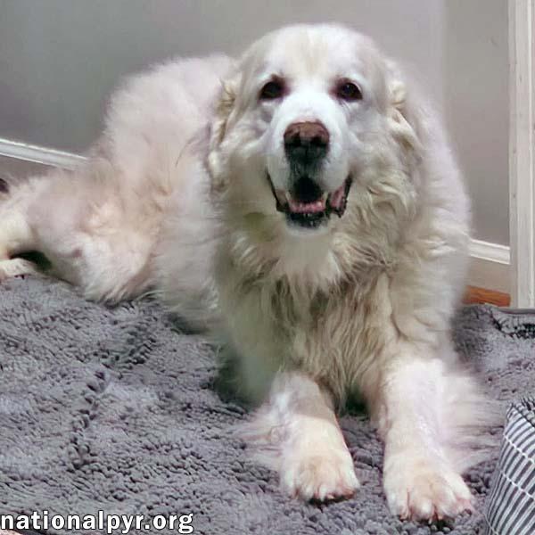 Coral in SC - Sweet & Gentle Soul photo