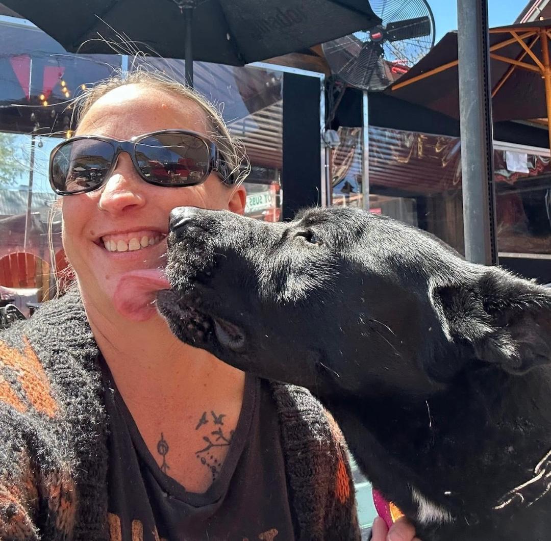 Enlarge Delta, a Adoptable mixed breed in Louisville, KY image 4/6