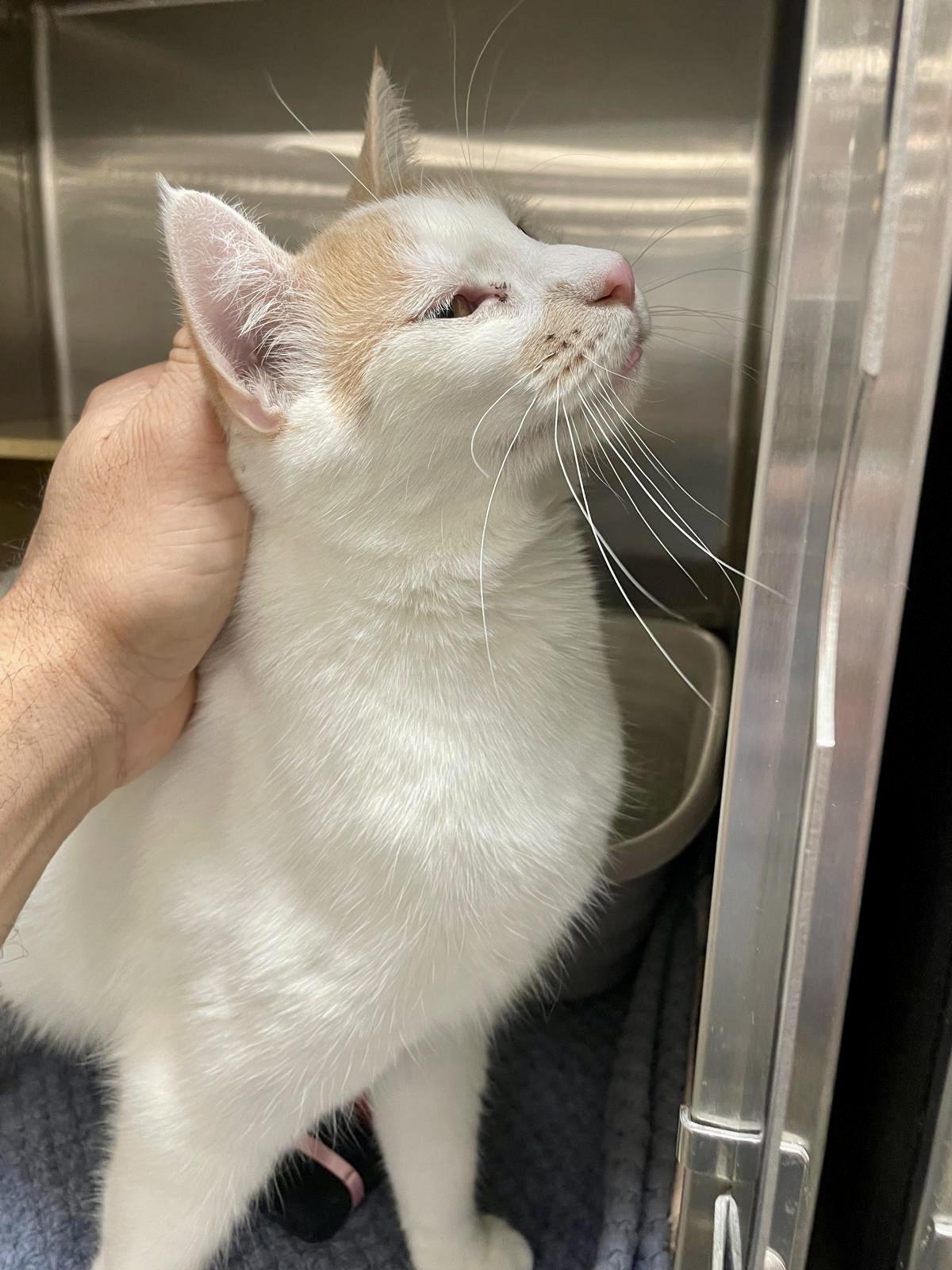 Louis Vuitton thumbnail 3