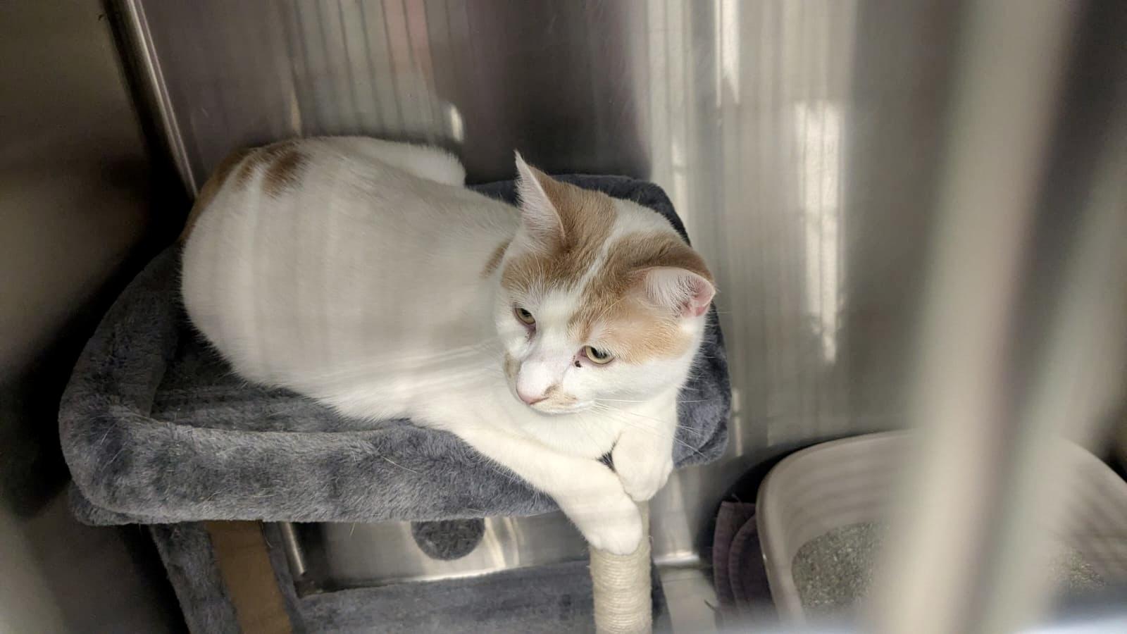 Louis Vuitton thumbnail 4