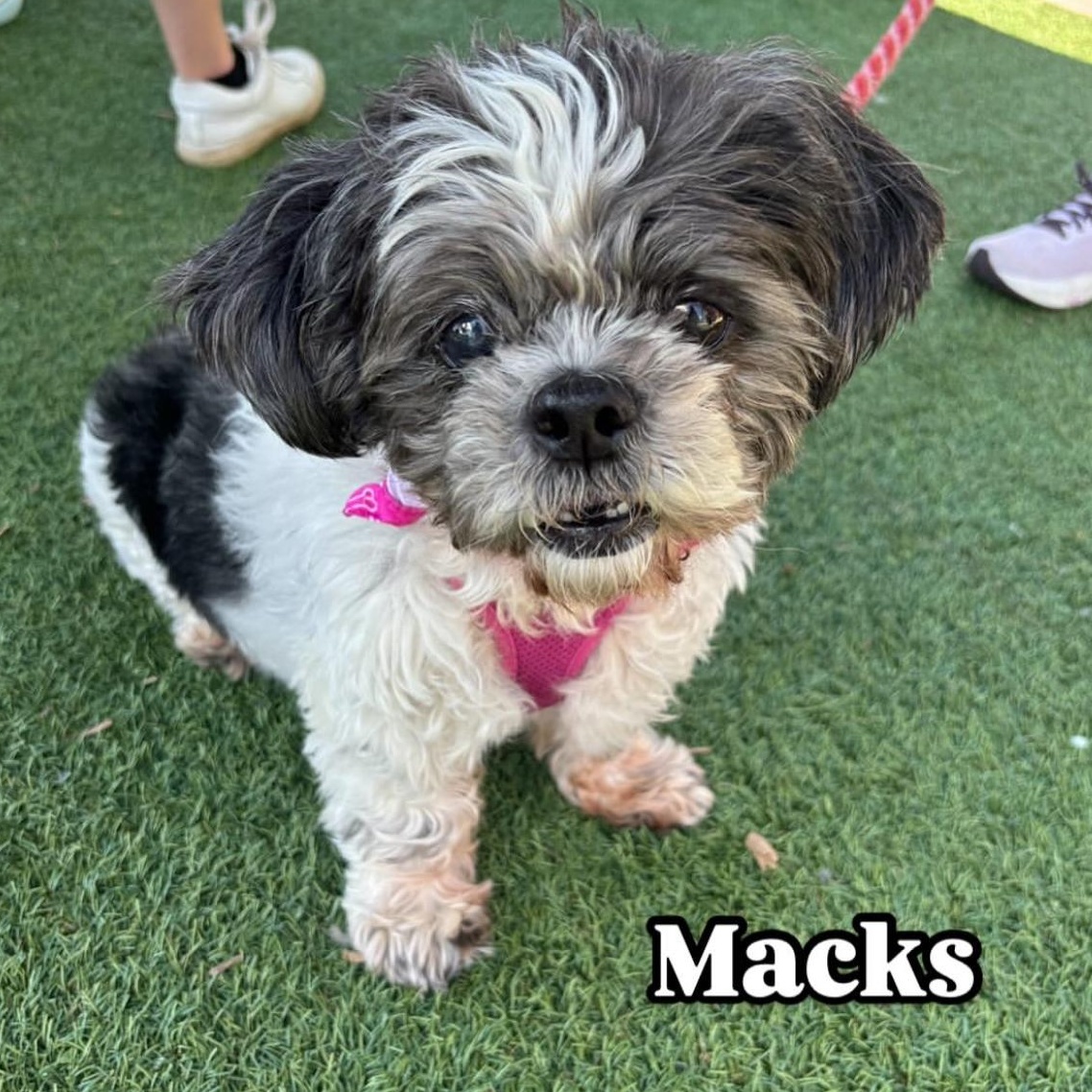Macks thumbnail 1