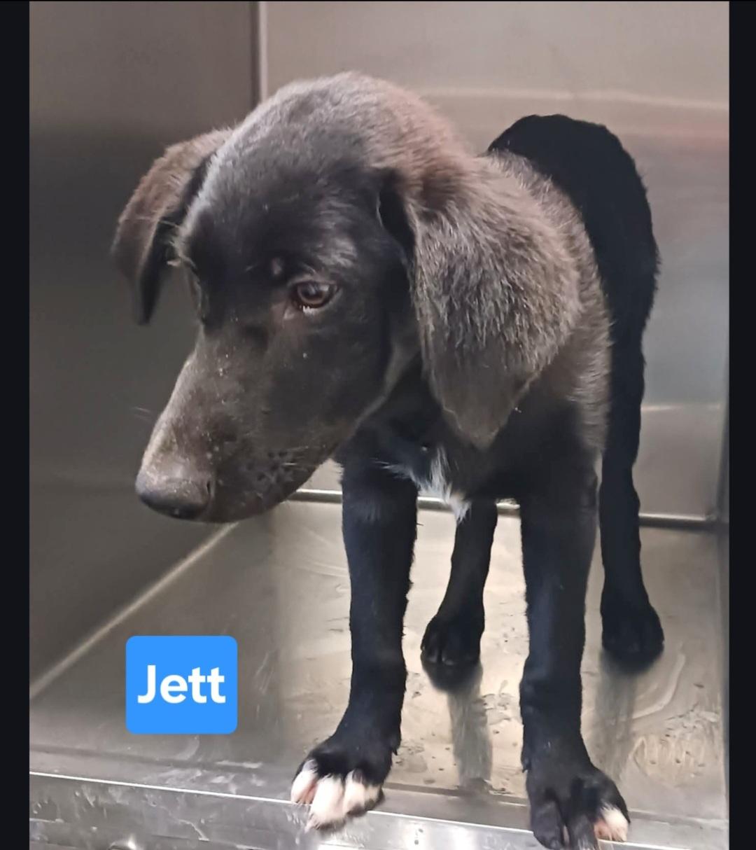 Jett