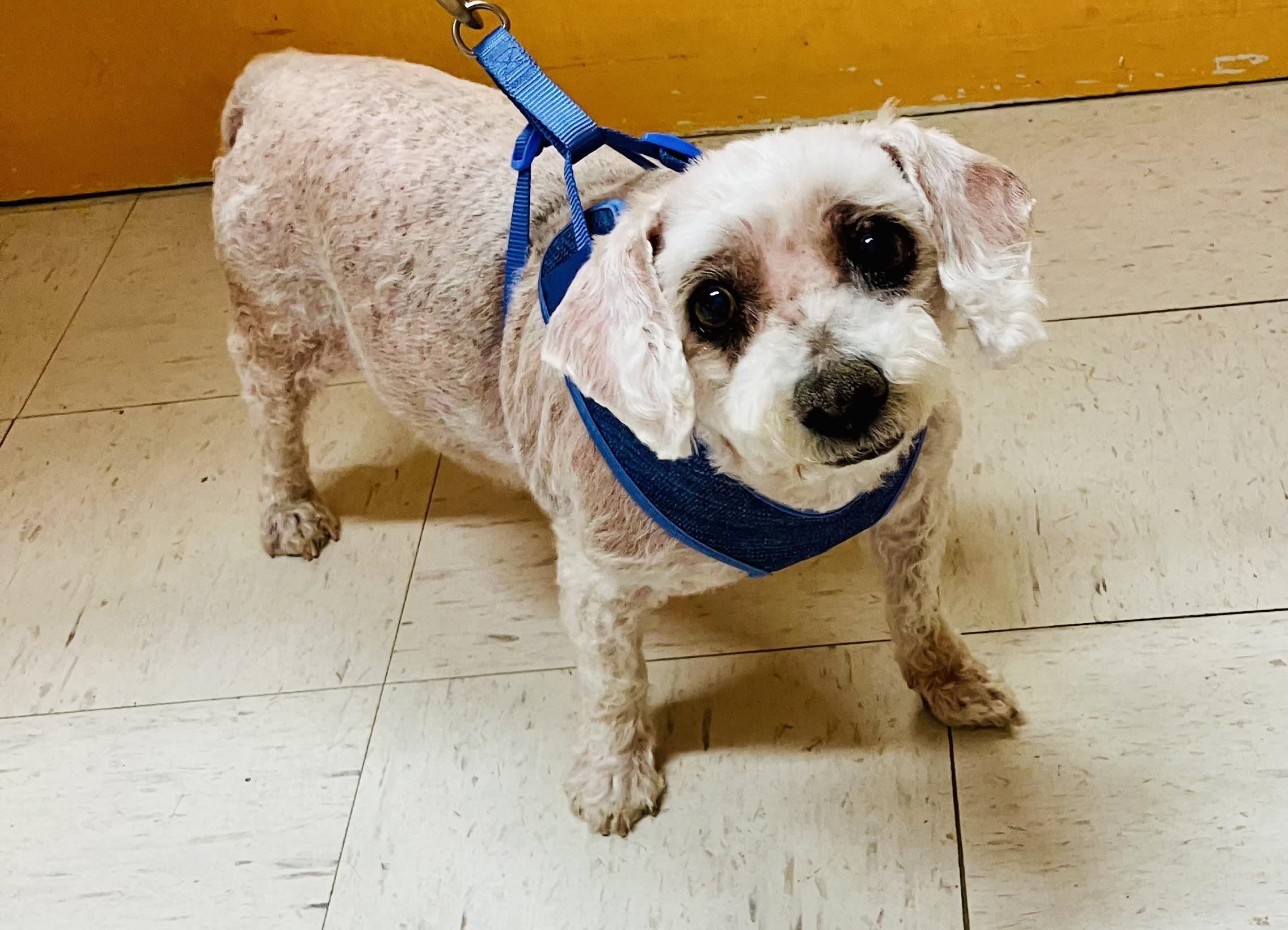 OATMEAL — thumbnail 2