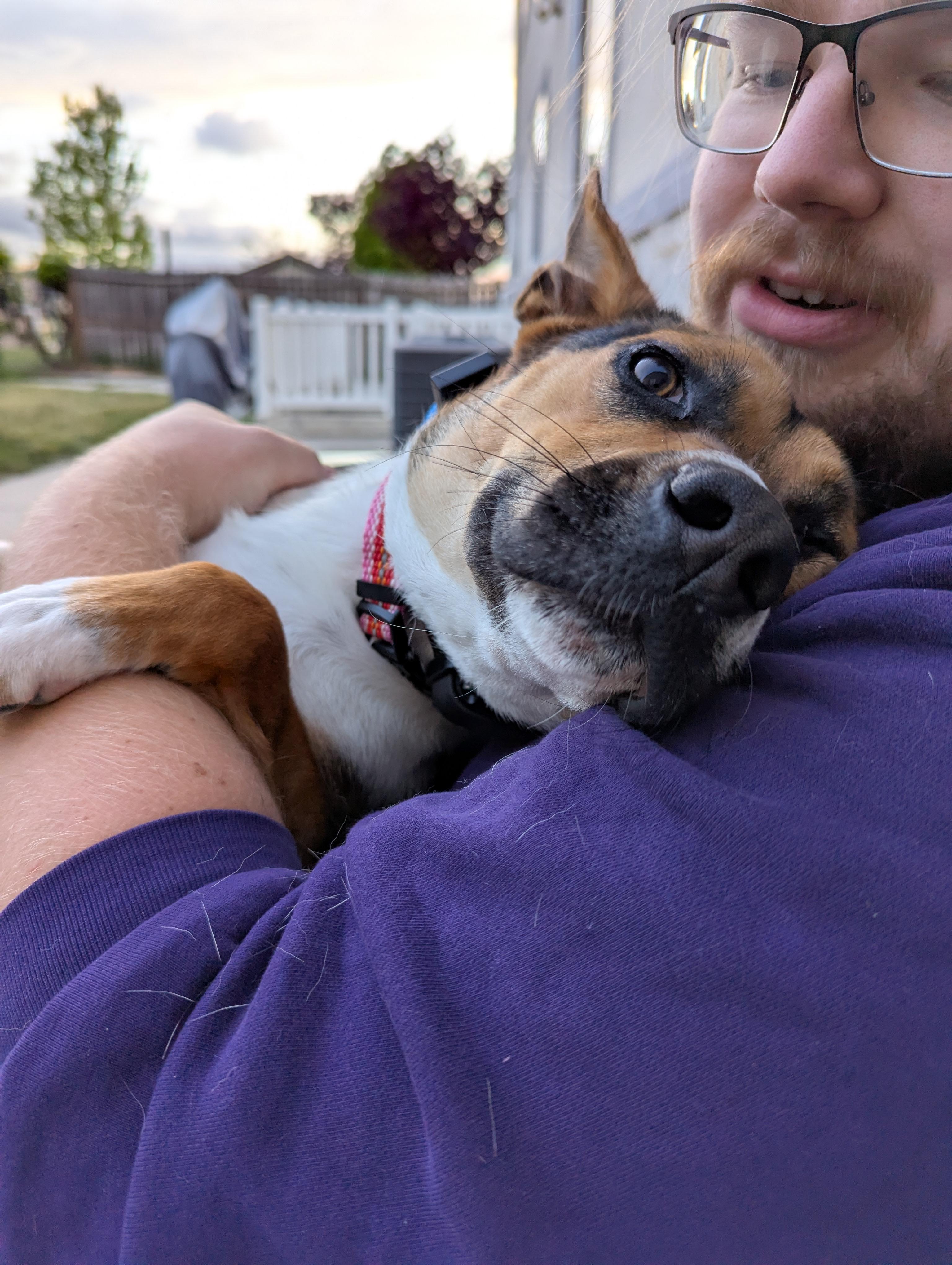 Ruby, a Adoptable mixed breed in Orem, UT image 4/6