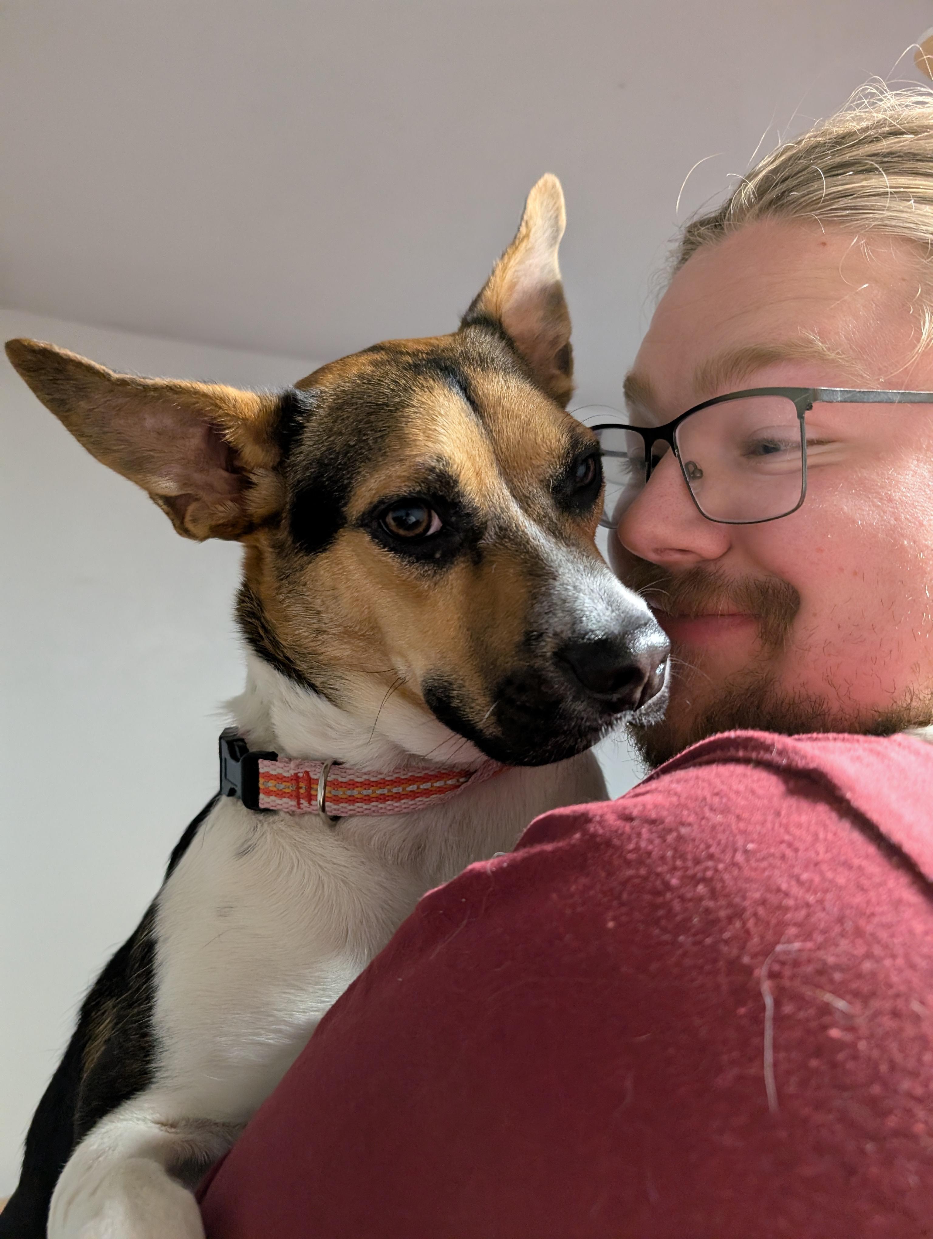 Ruby, Adoptable, Young Female Pit Bull Terrier & Mixed Breed.