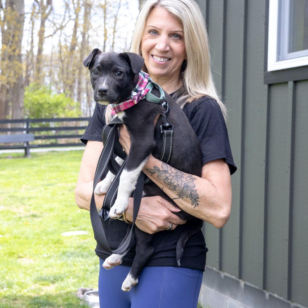 Enlarge Rosemary  (Female)   , a Adoptable mixed breed in West Grove, PA image 2/6